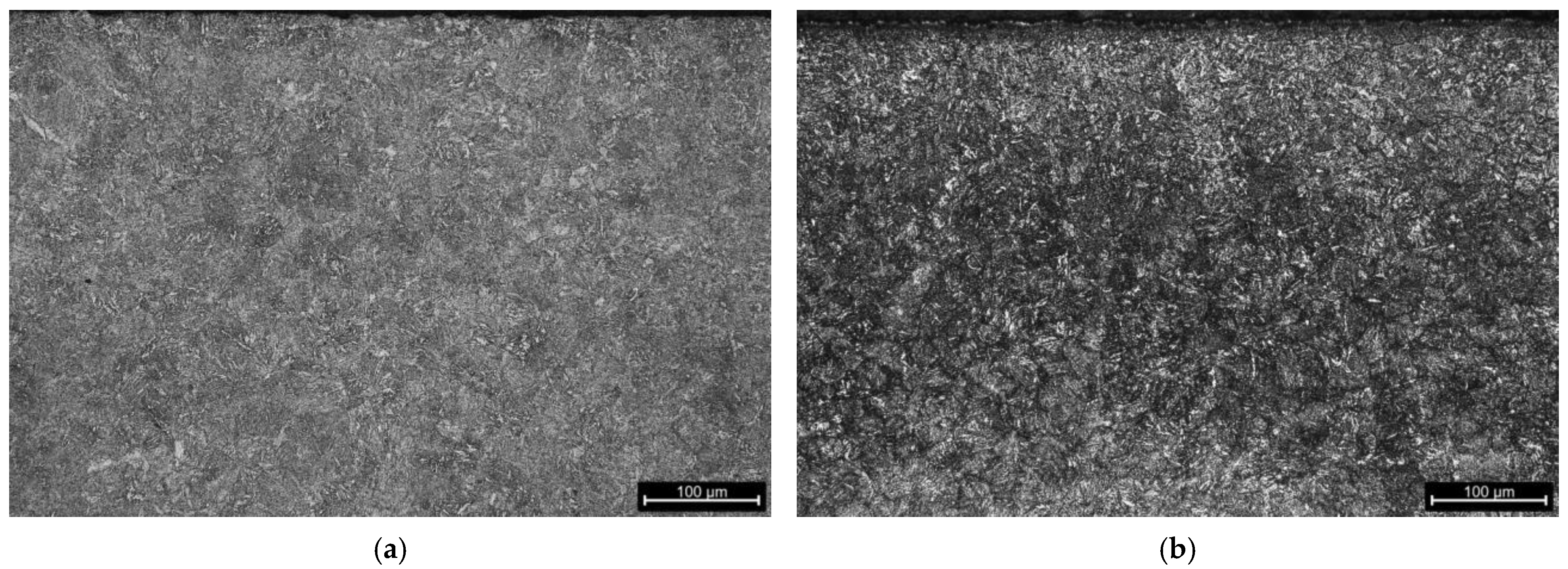 Coatings 14 01602 g013