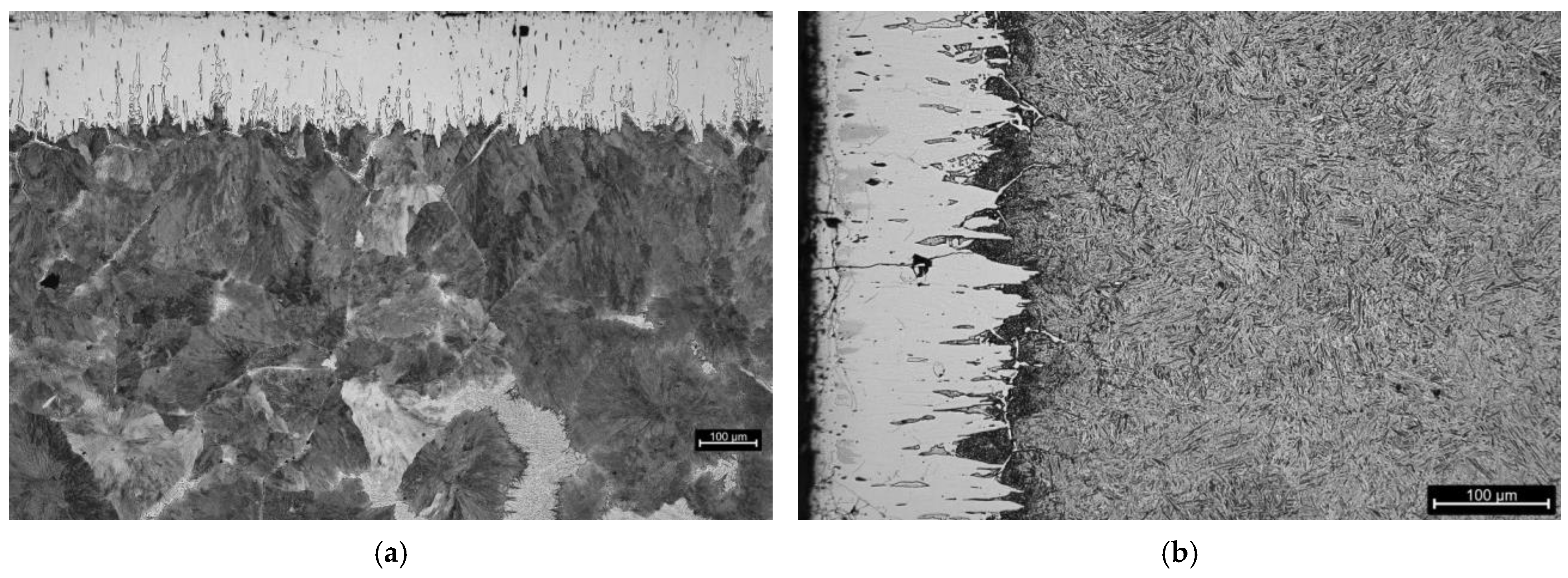 Coatings 14 01602 g015