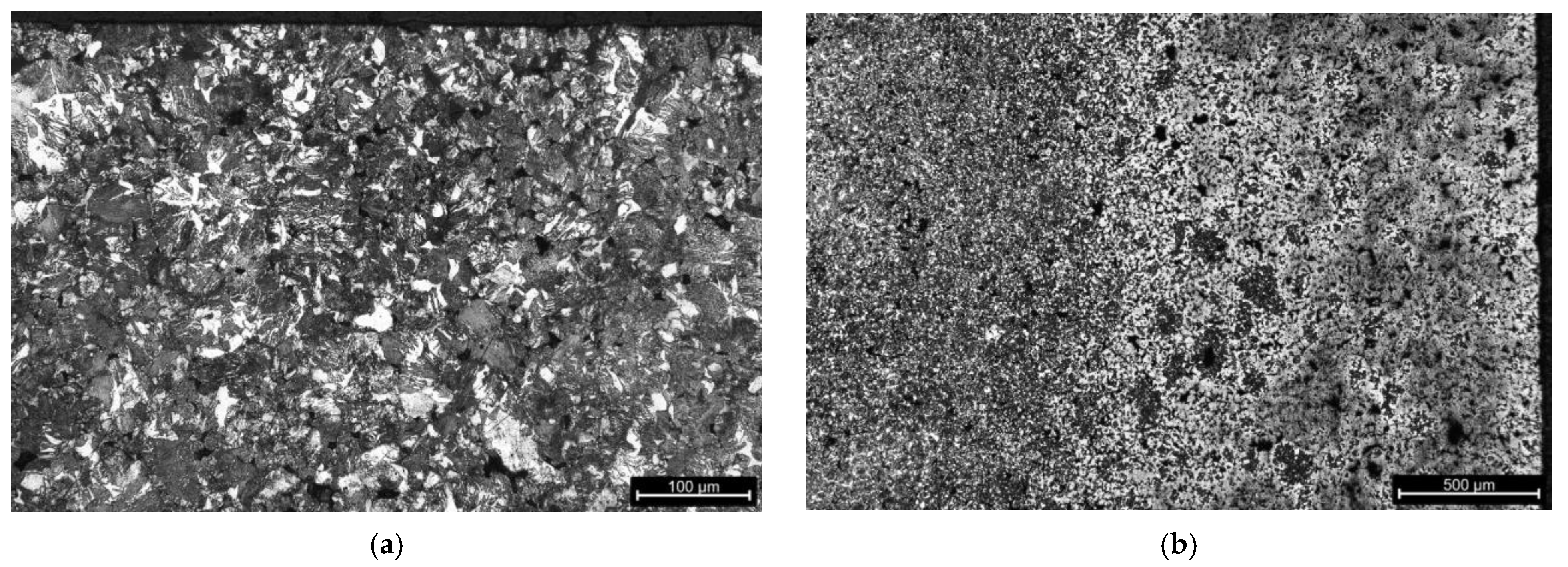 Coatings 14 01602 g017