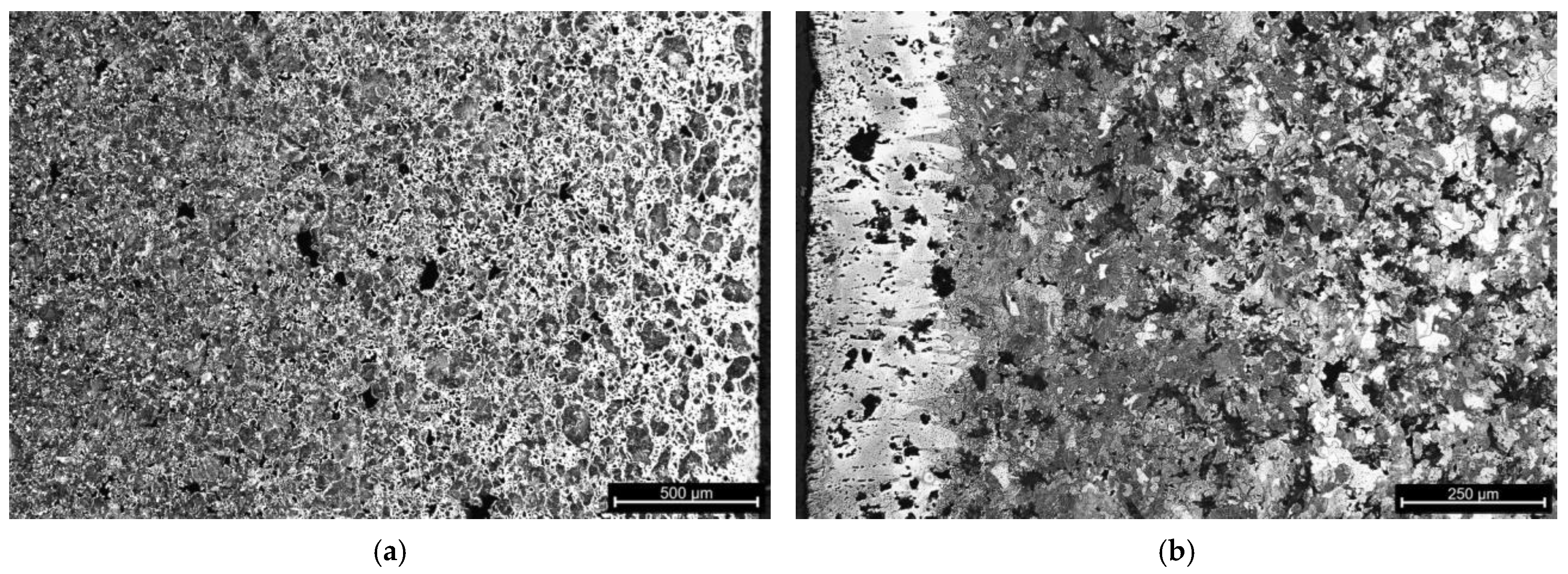 Coatings 14 01602 g018