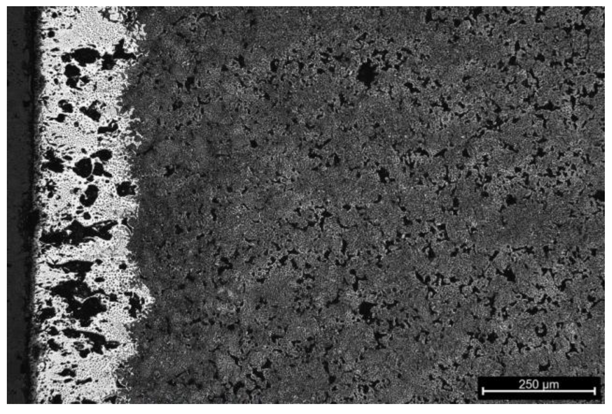 Coatings 14 01602 g021