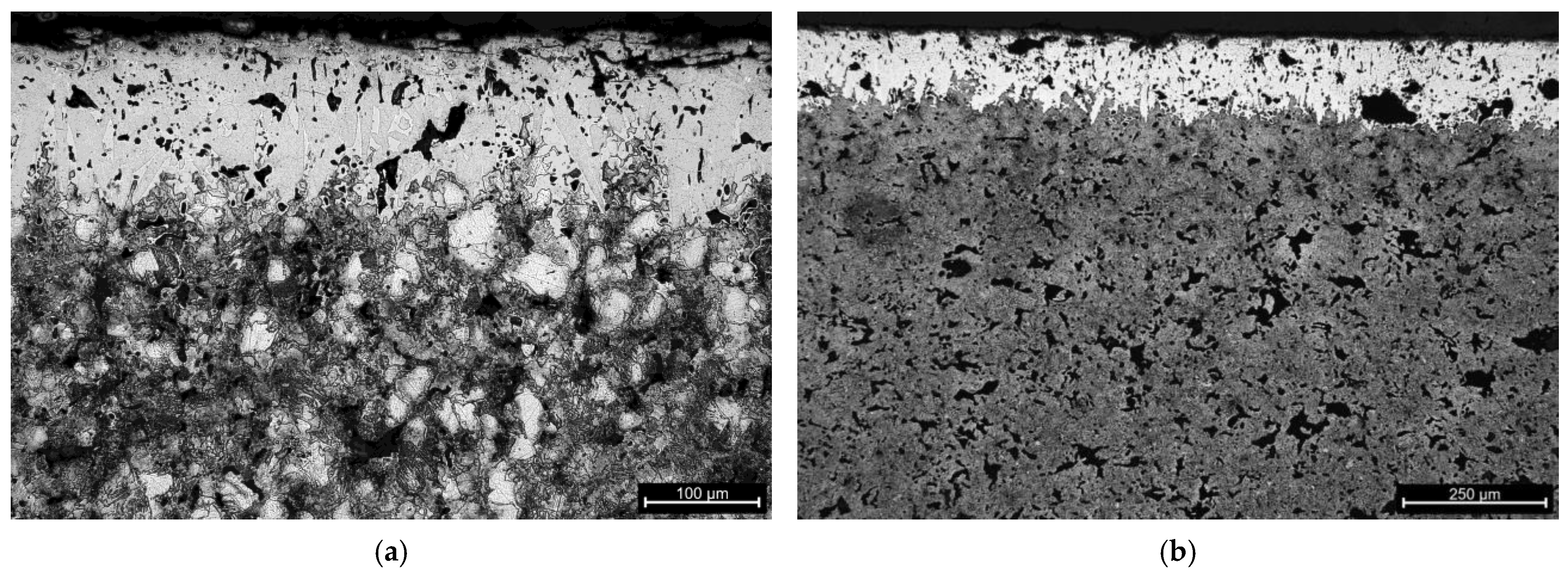 Coatings 14 01602 g025