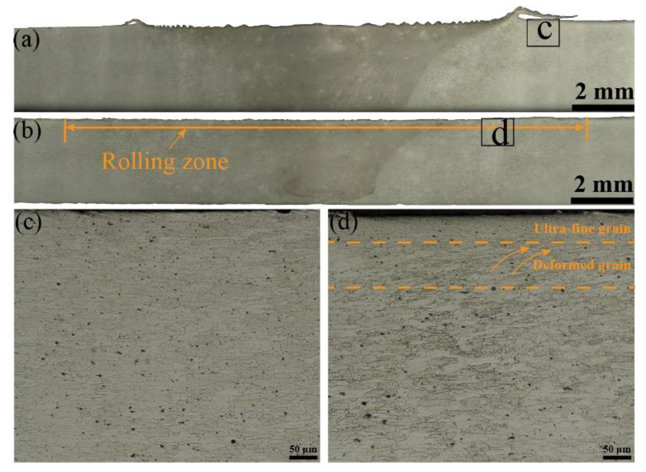 Coatings 14 01604 g003