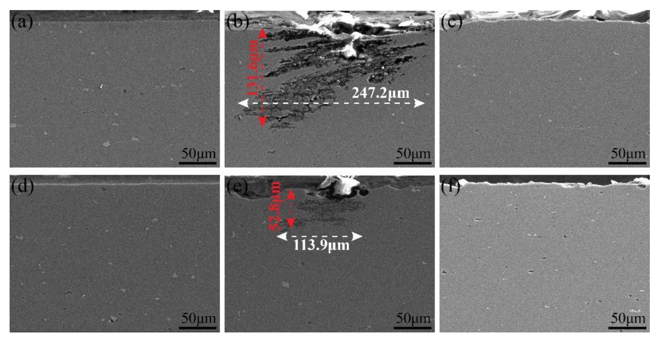 Coatings 14 01604 g006