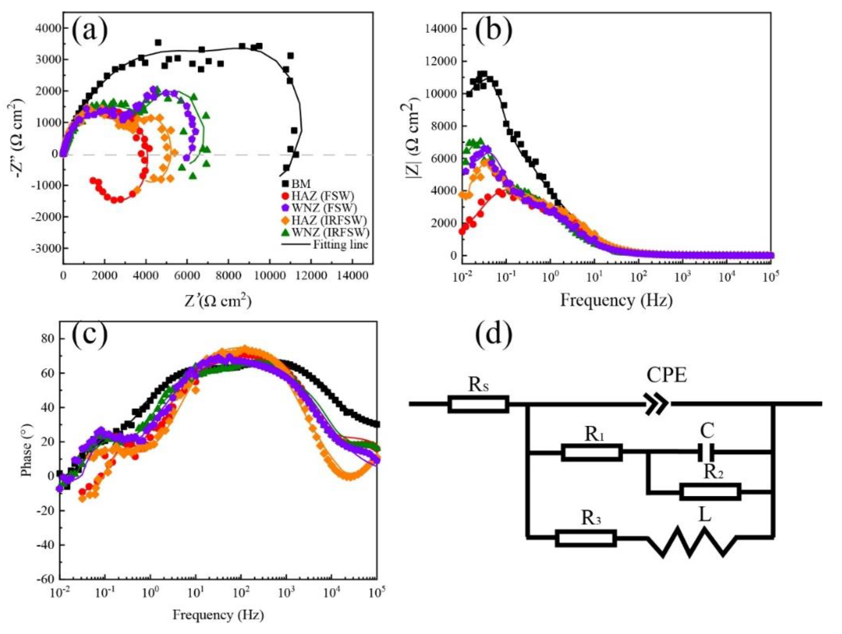 Coatings 14 01604 g008