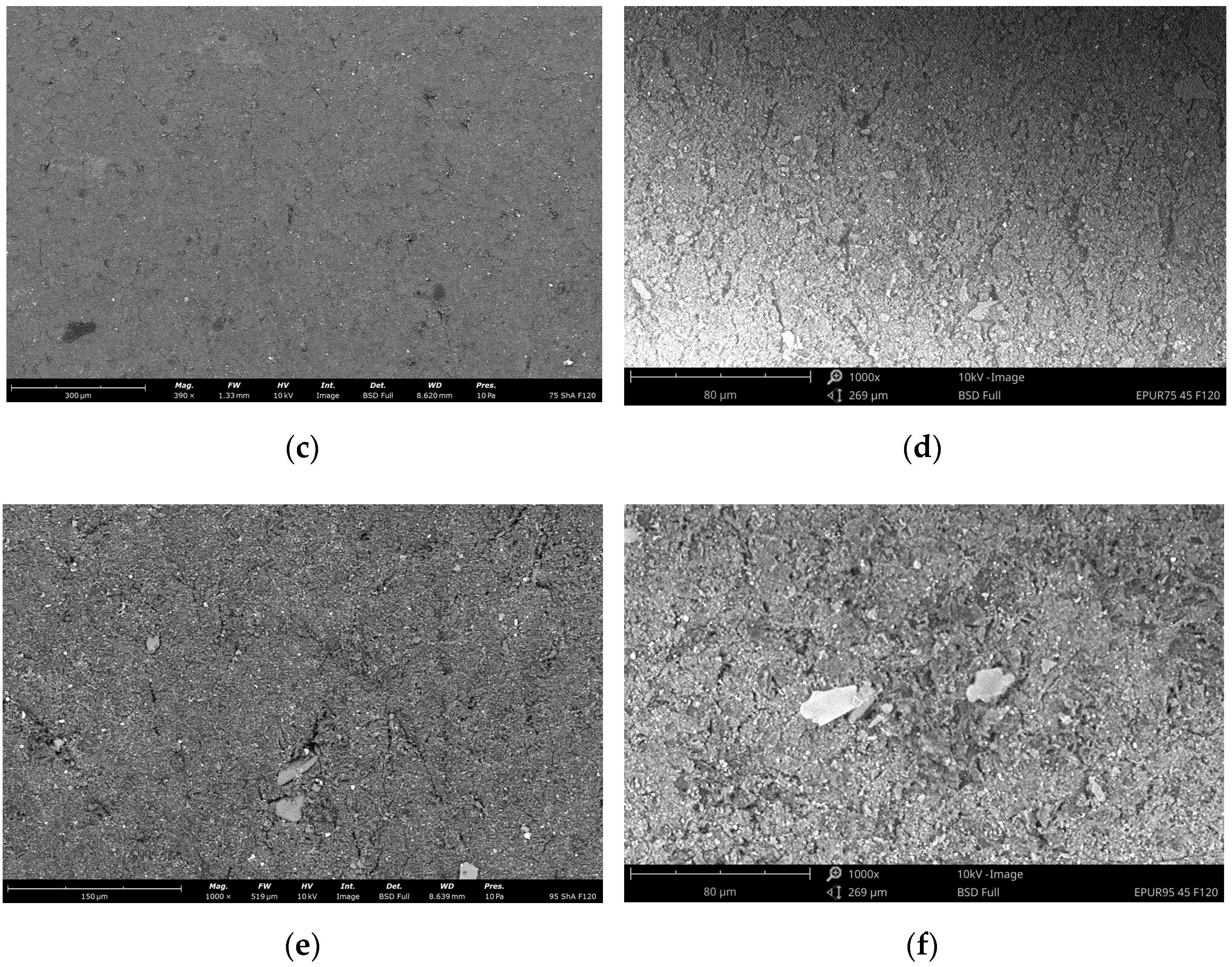 Coatings 14 01611 g009b