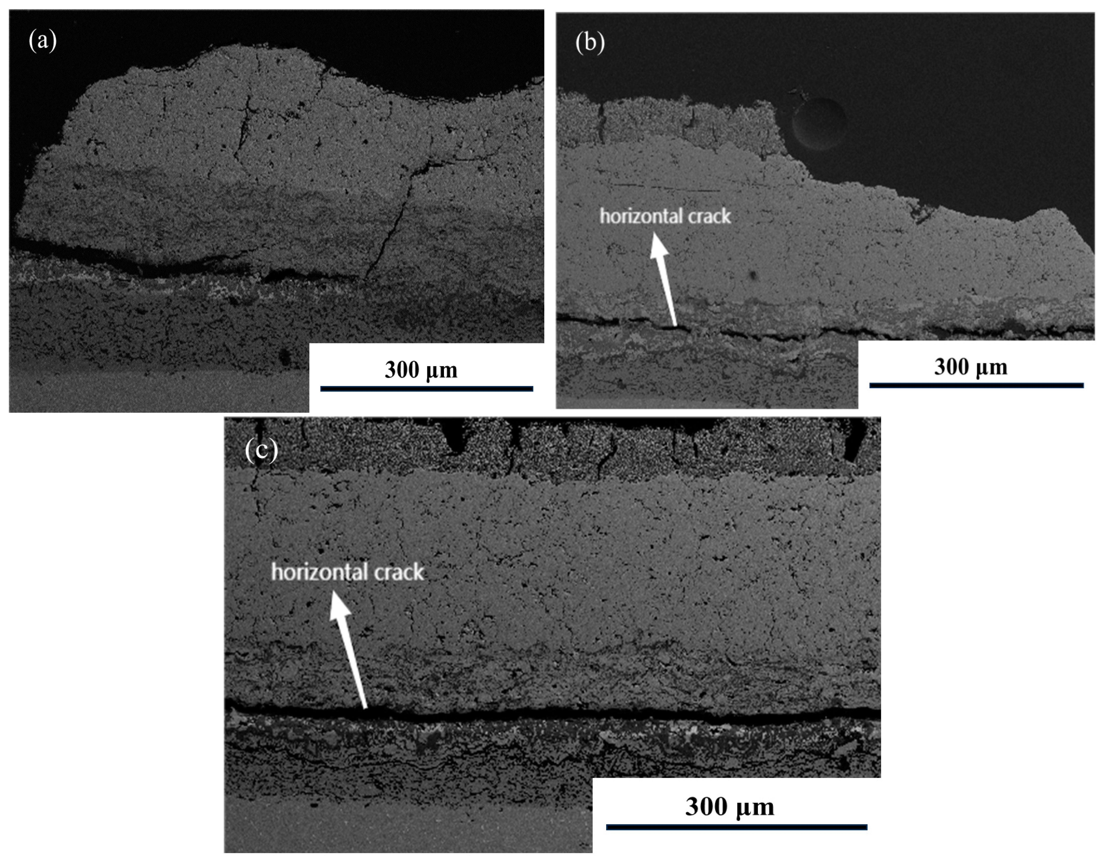 Coatings 14 01614 g003