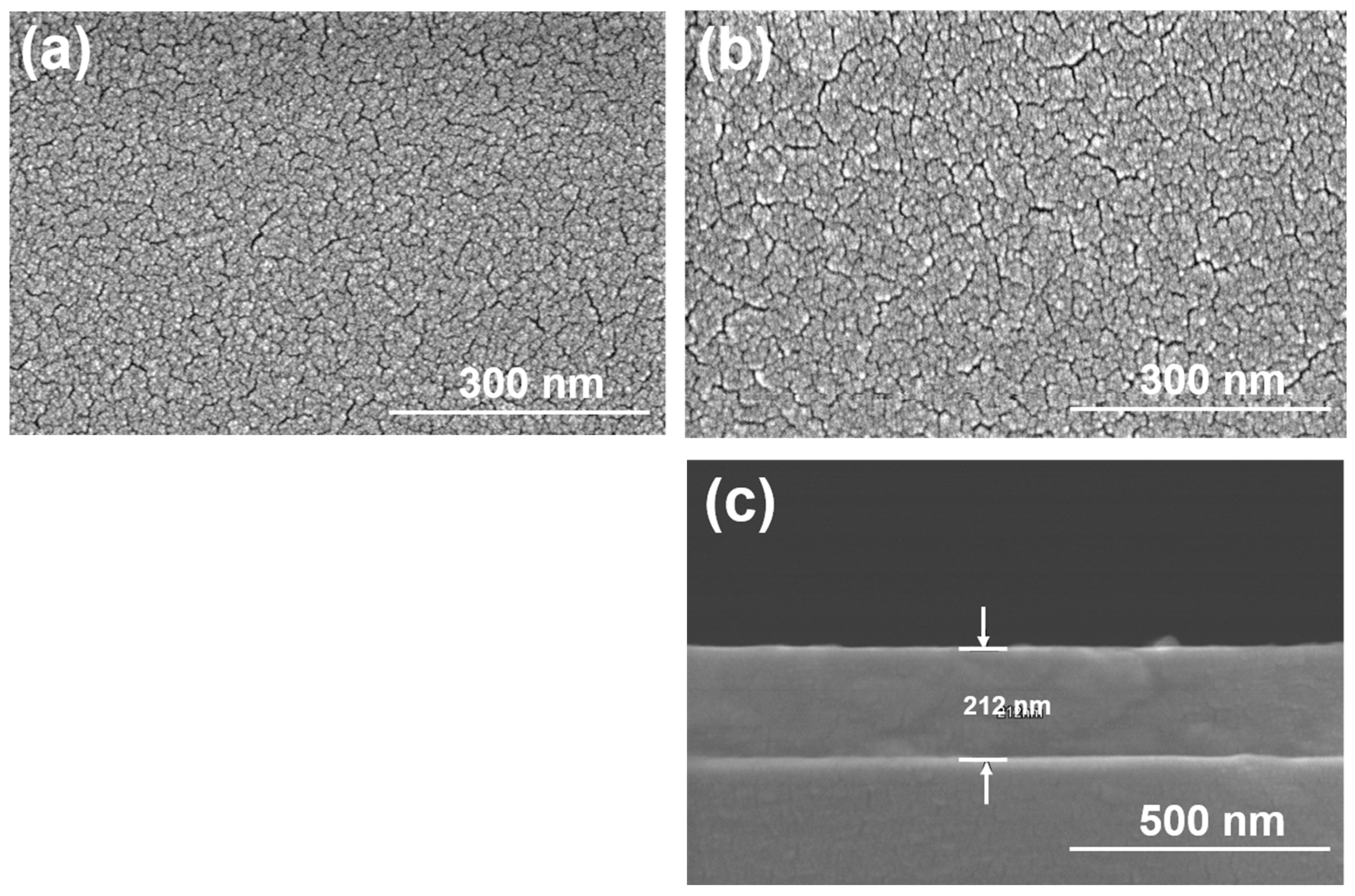 Coatings 14 01615 g003