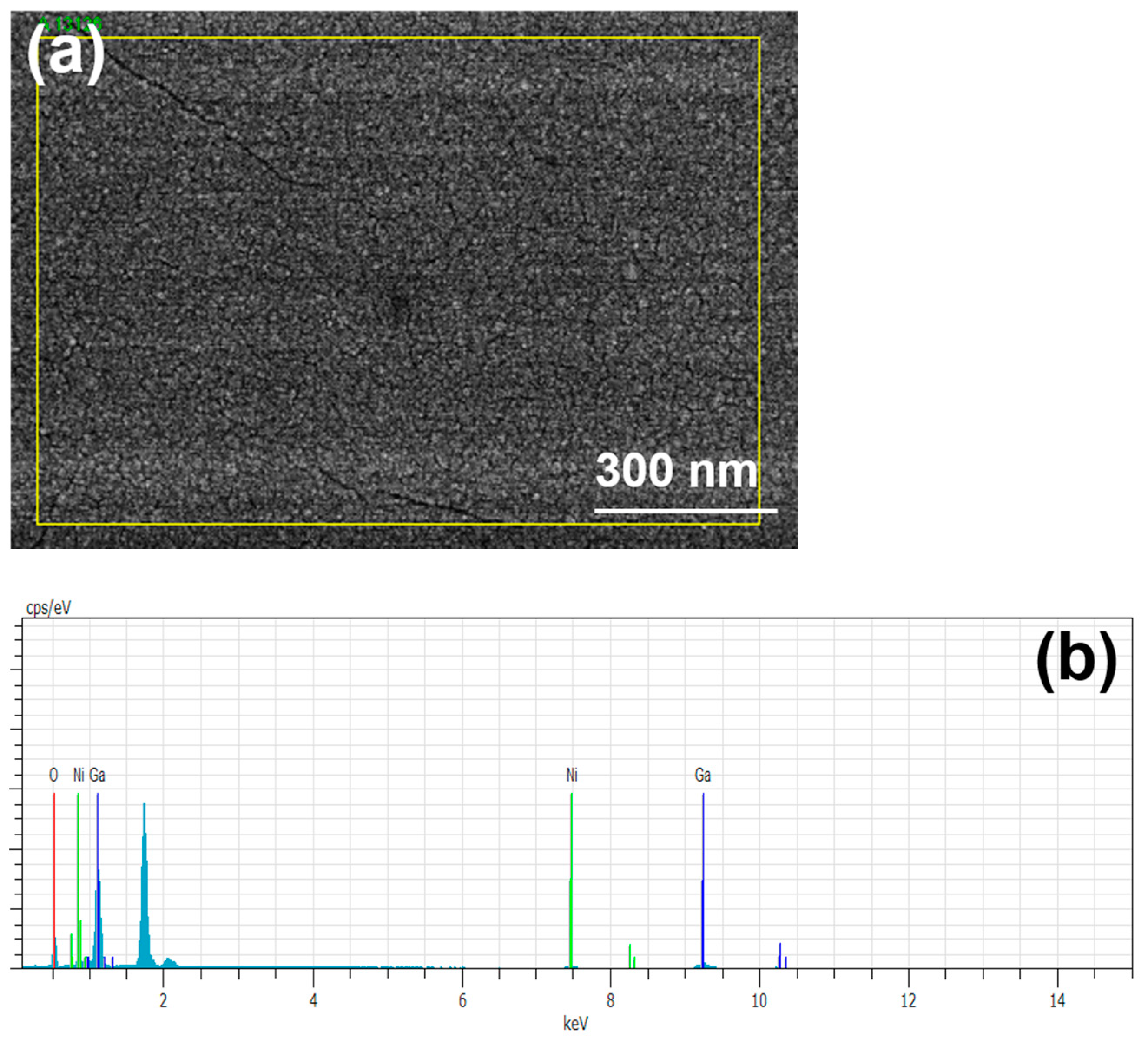 Coatings 14 01615 g004