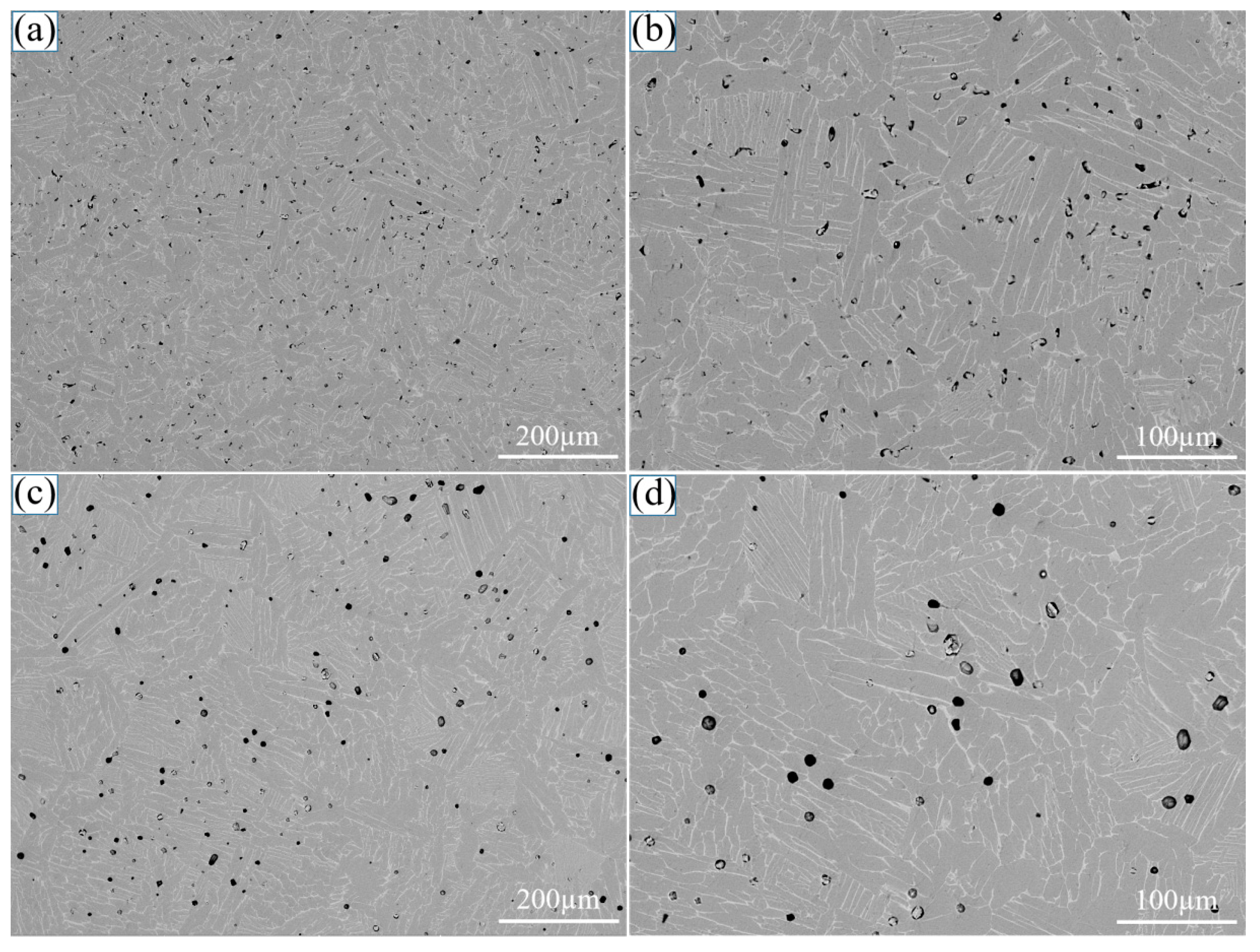Coatings 15 00008 g004a Coatings 15 00008 g004a