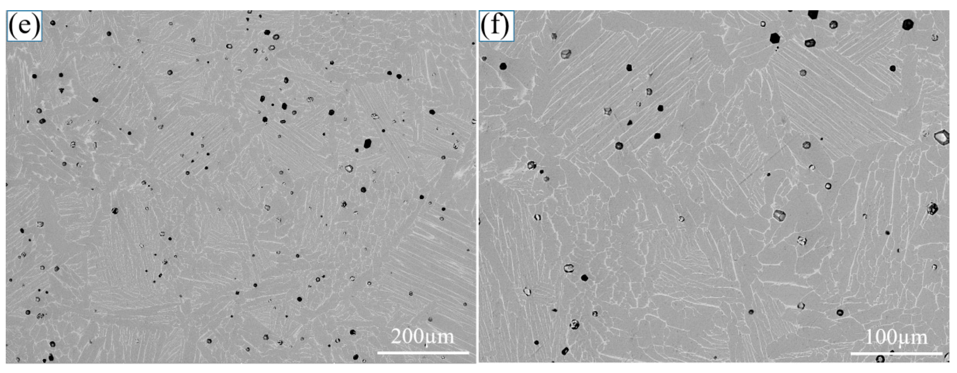 Coatings 15 00008 g004b Coatings 15 00008 g004b