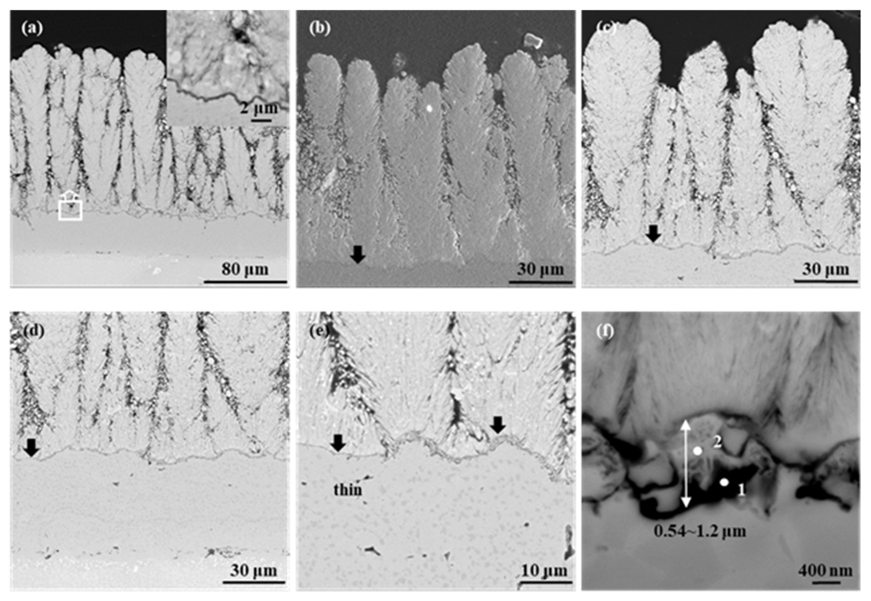 Coatings 15 00013 g002