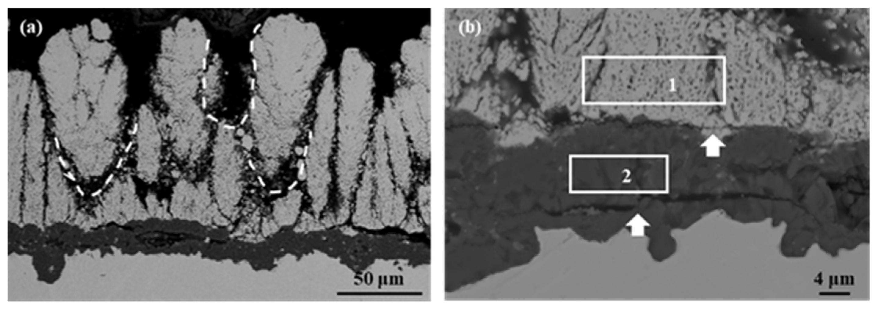 Coatings 15 00013 g005