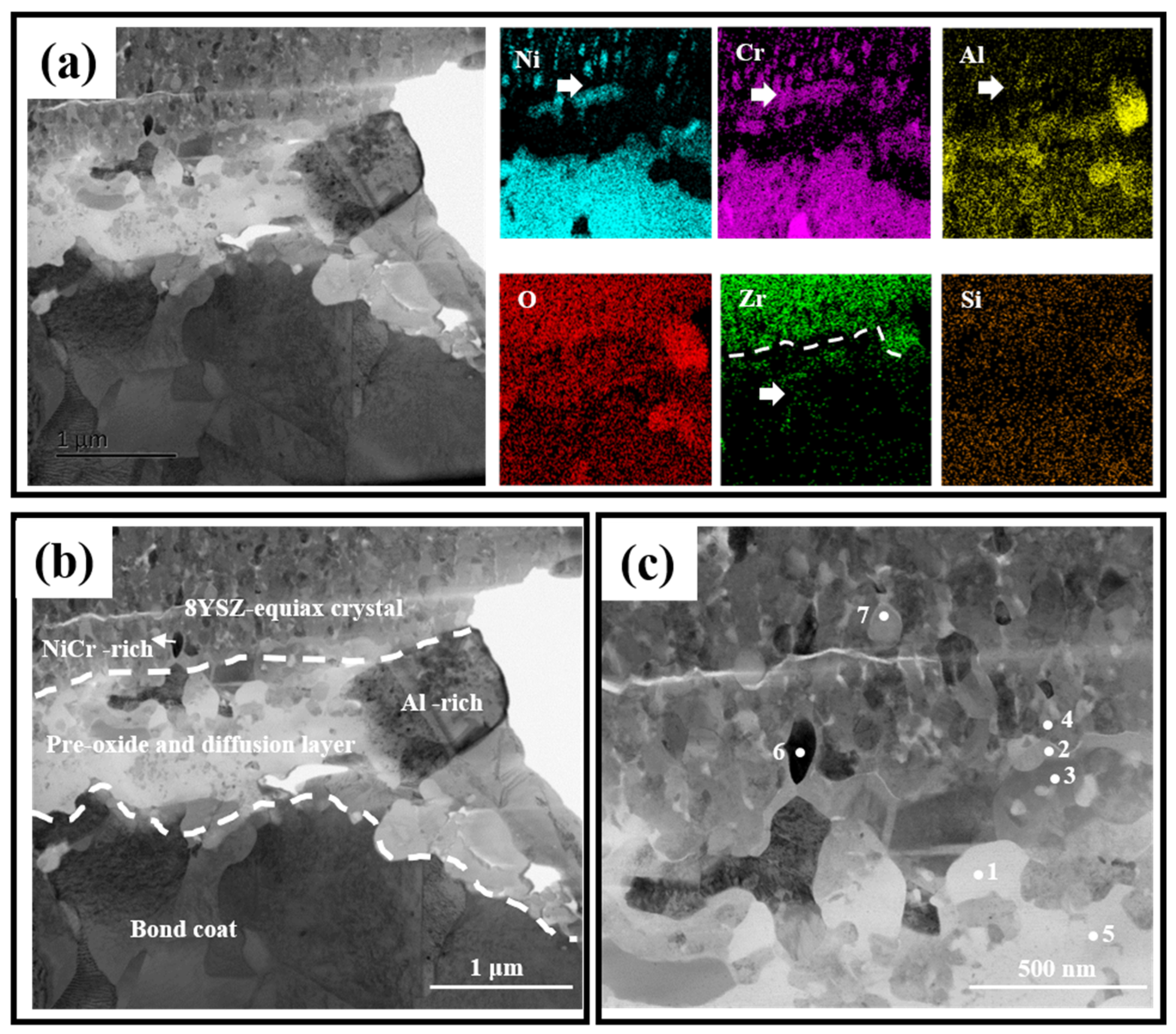 Coatings 15 00013 g006