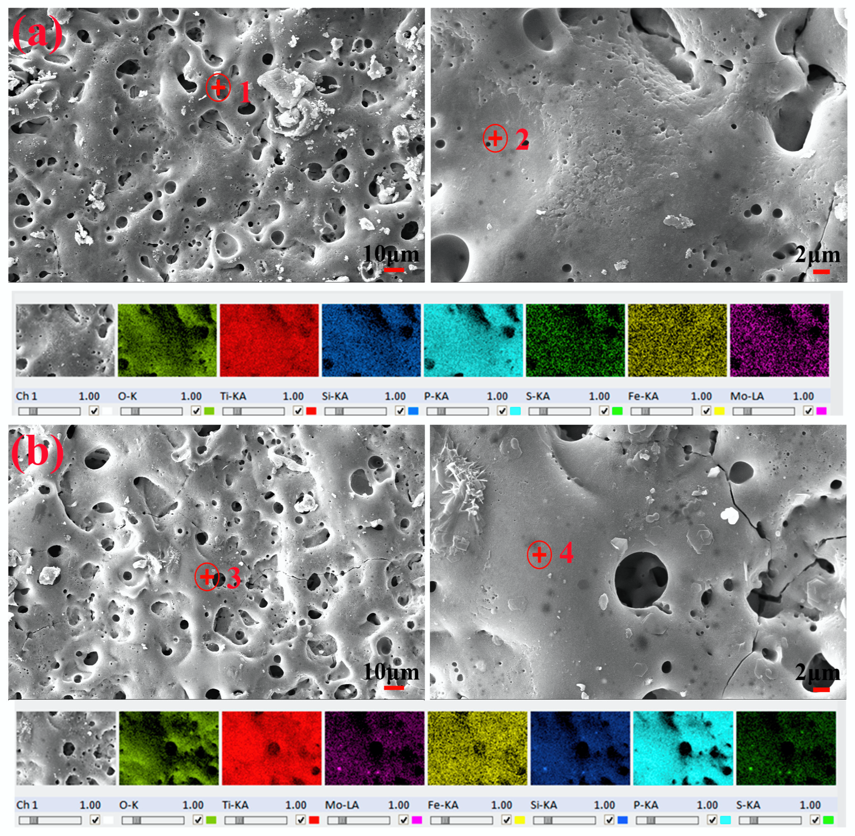 Coatings 15 00021 g002