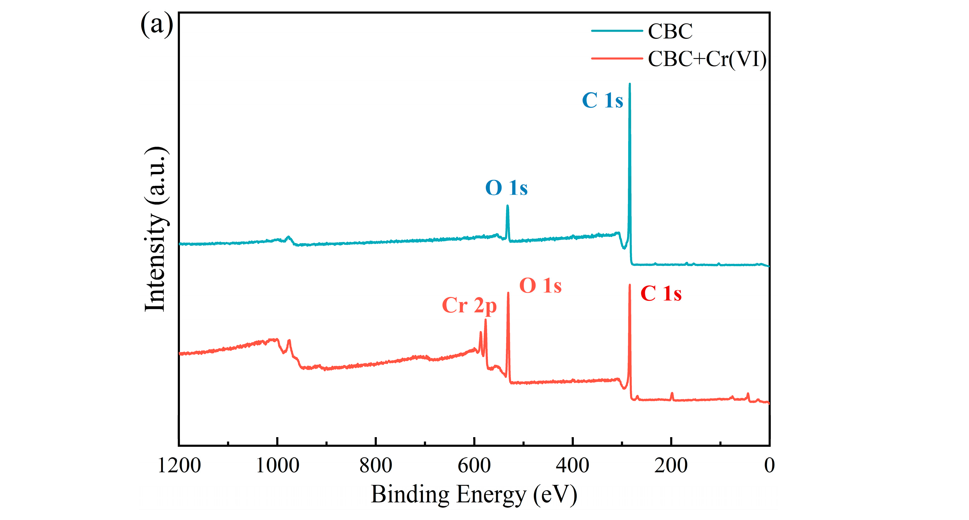 Coatings 15 00025 g016a