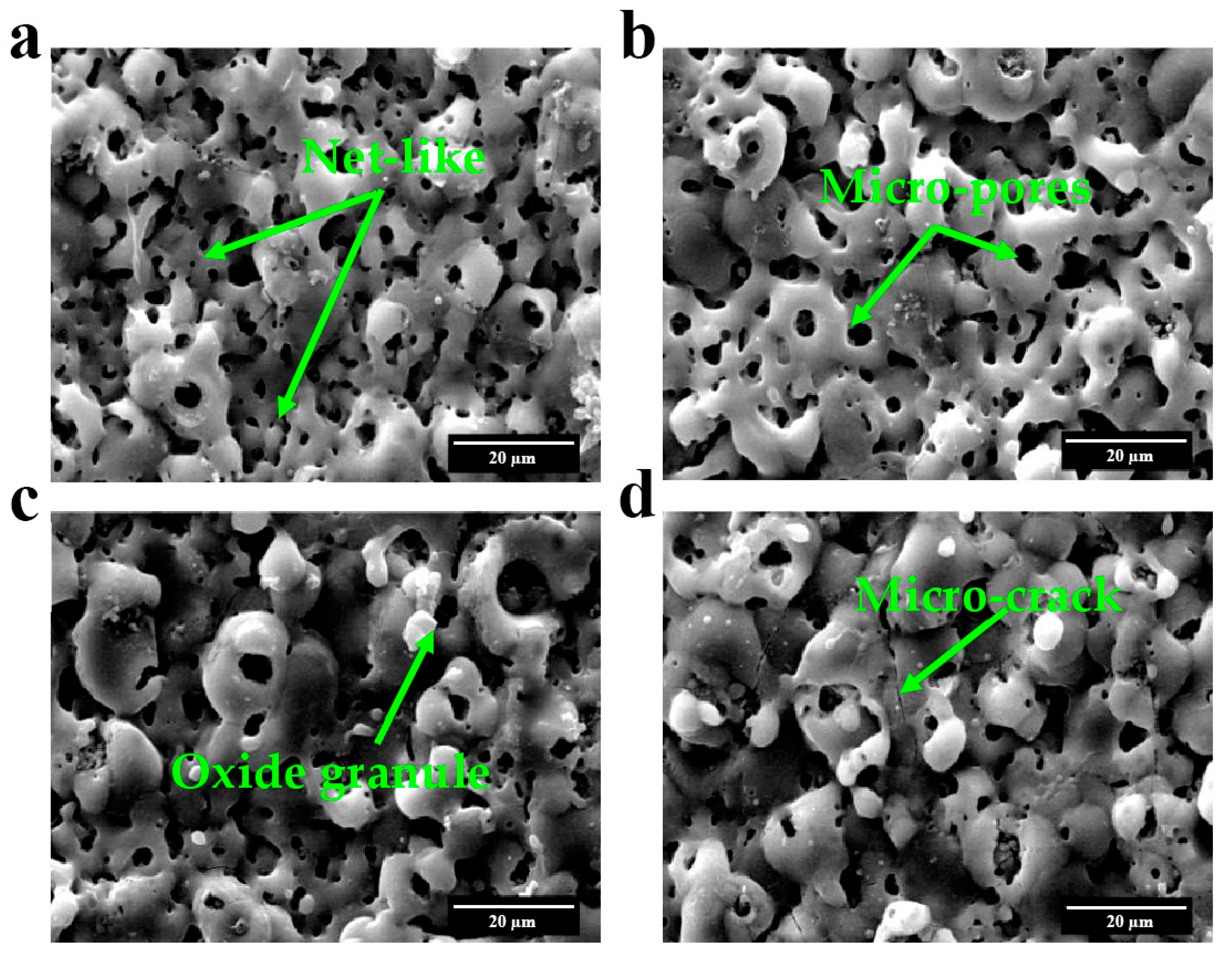 Coatings 15 00036 g005