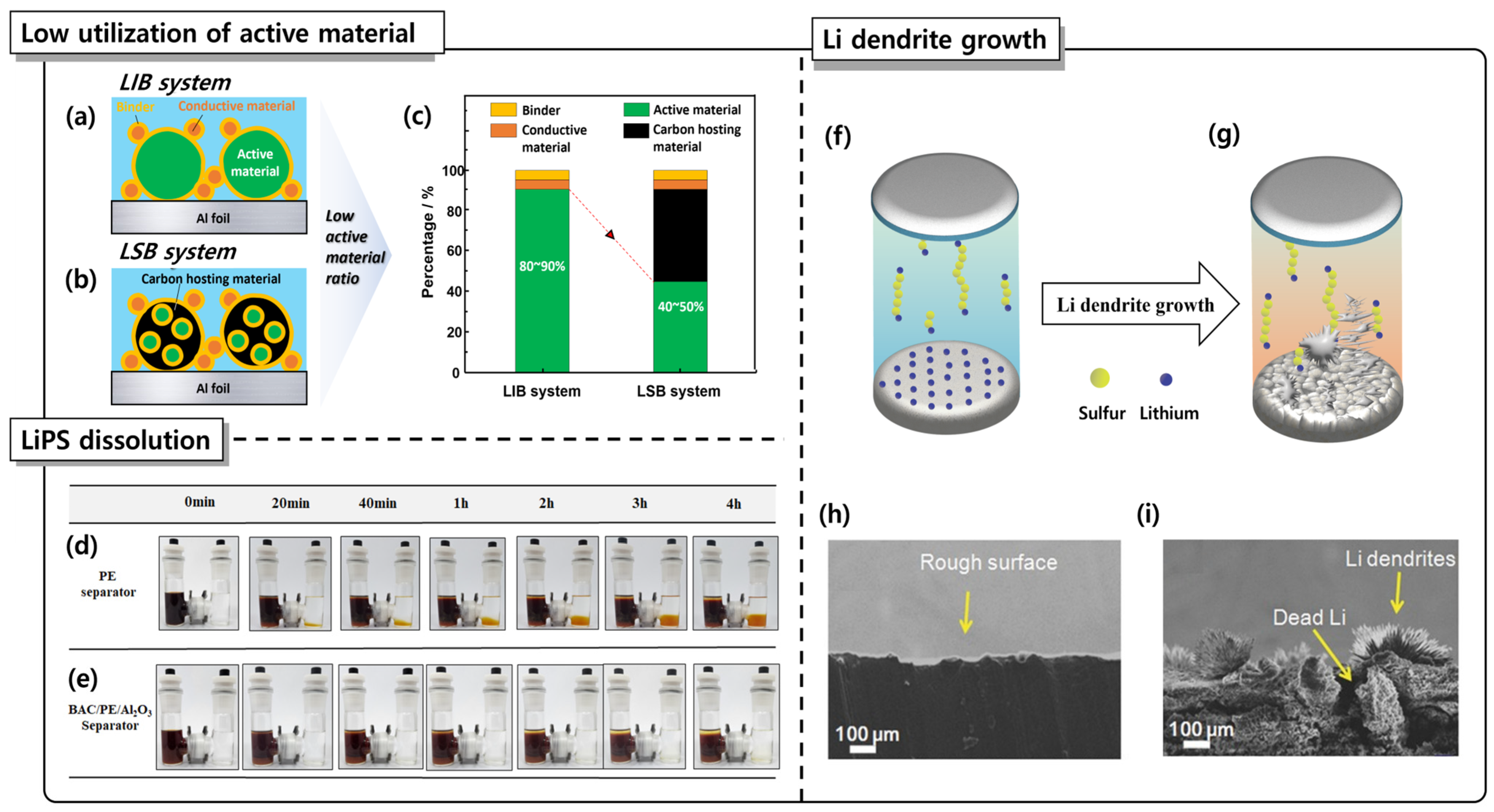 Coatings 15 00043 g001
