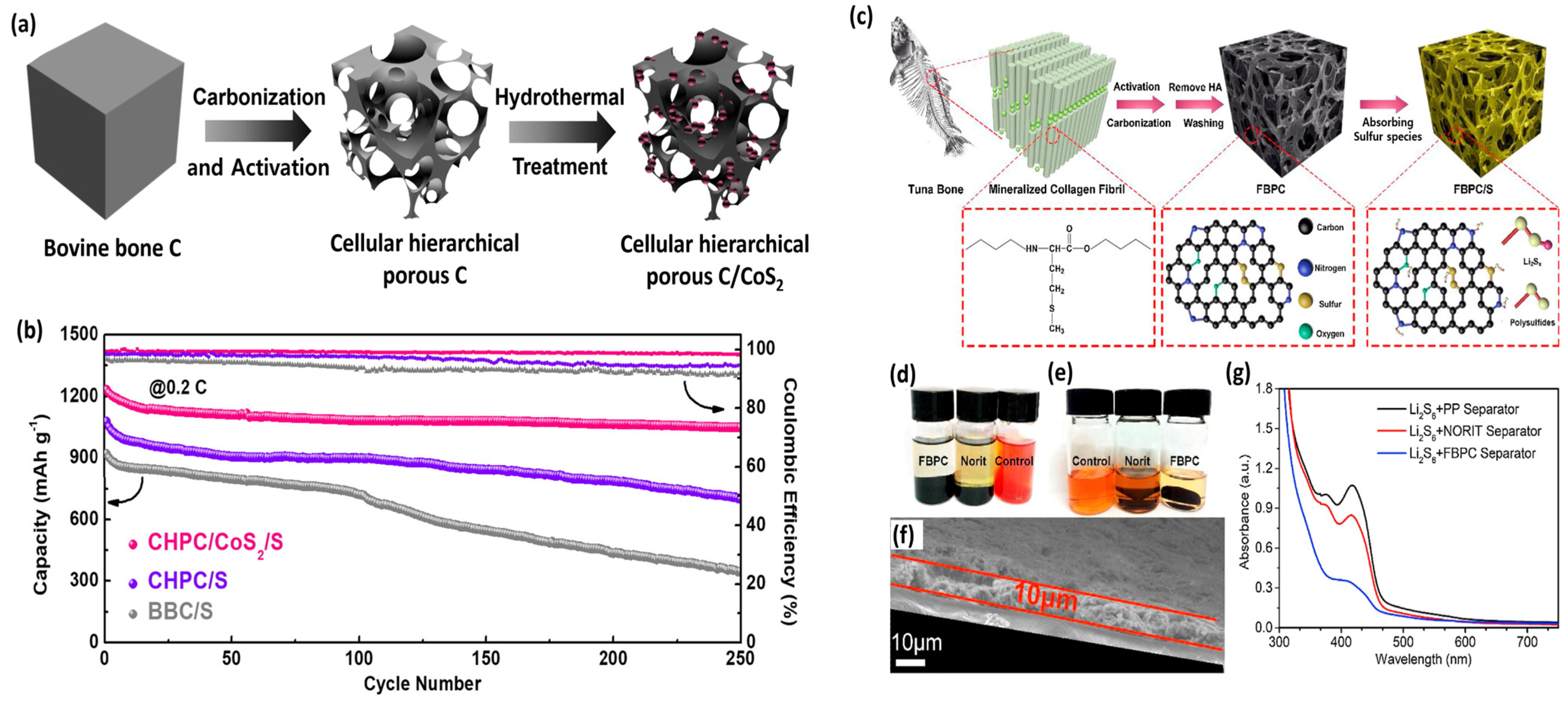 Coatings 15 00043 g002