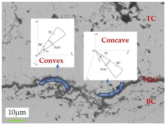 Coatings 15 00049 g001