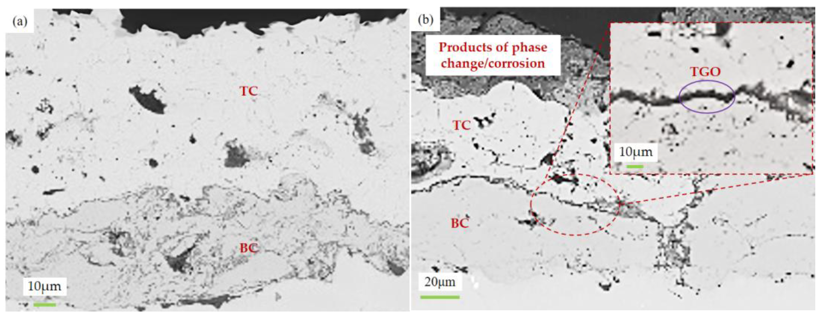 Coatings 15 00049 g005