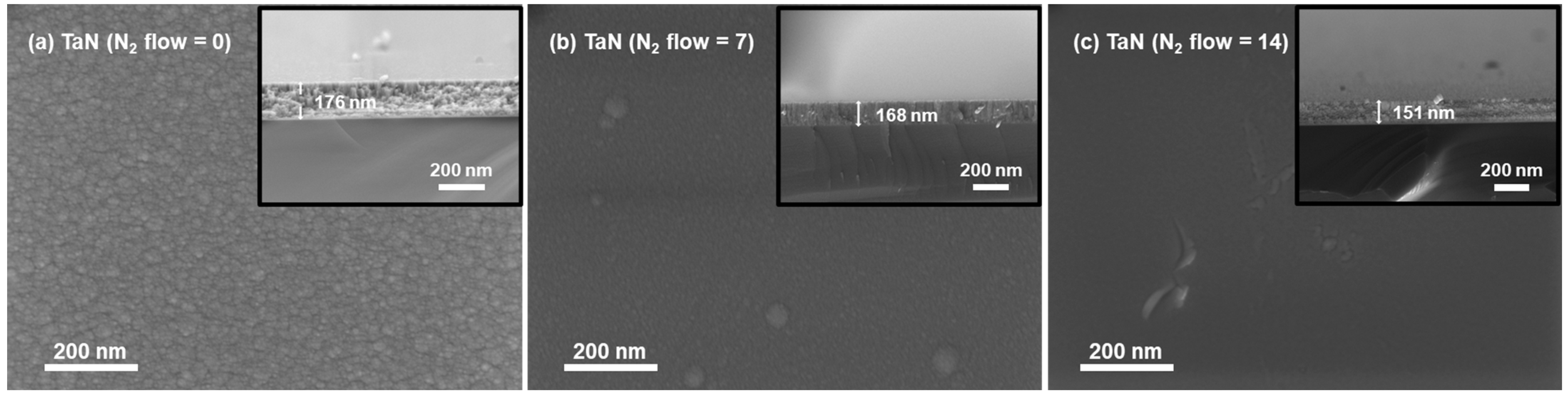 Coatings 15 00055 g001