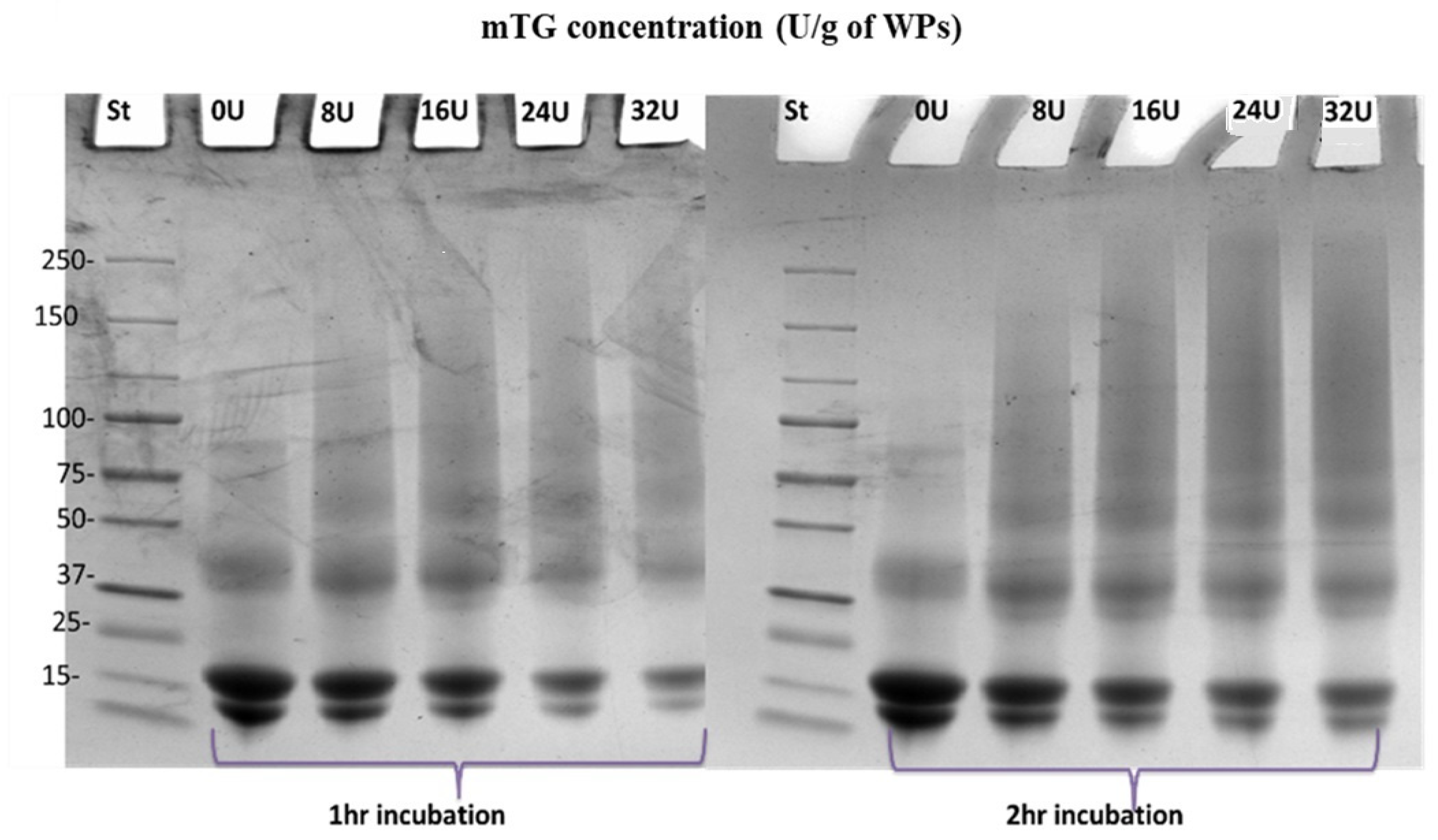 Coatings 15 00066 g001