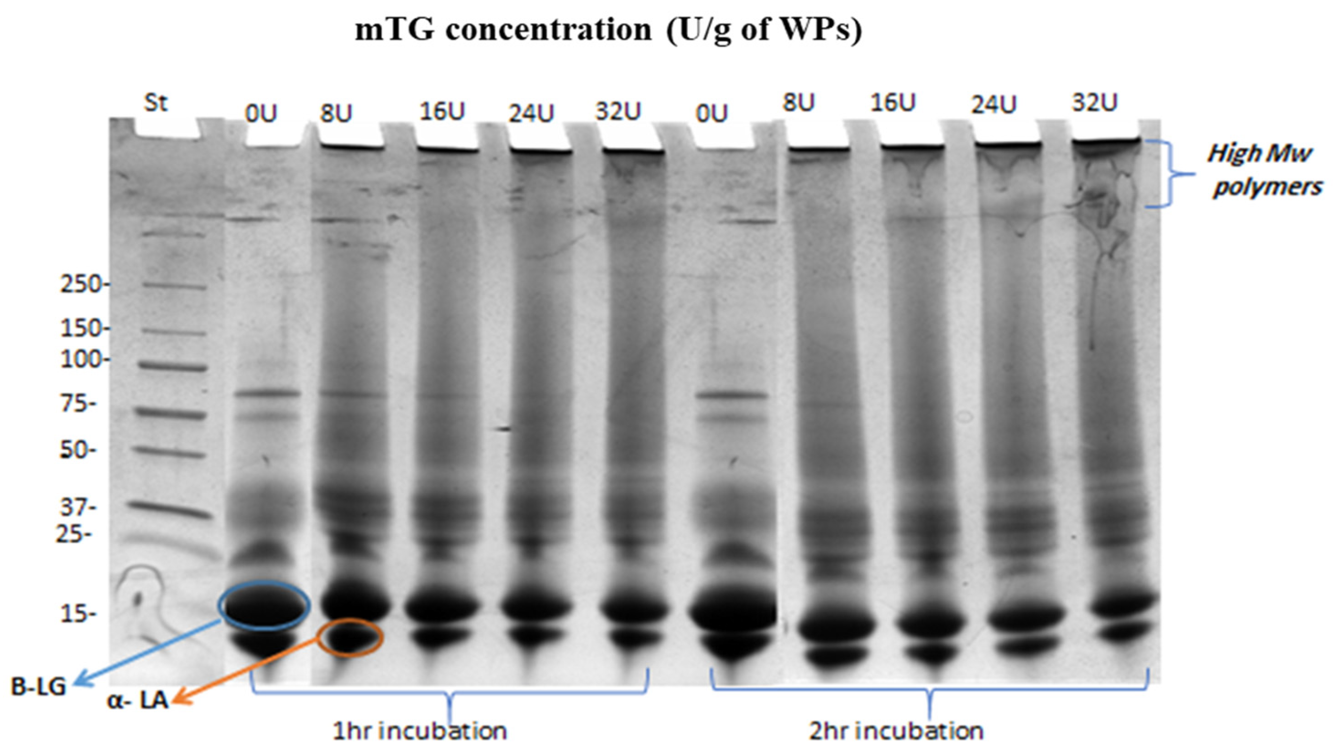 Coatings 15 00066 g002