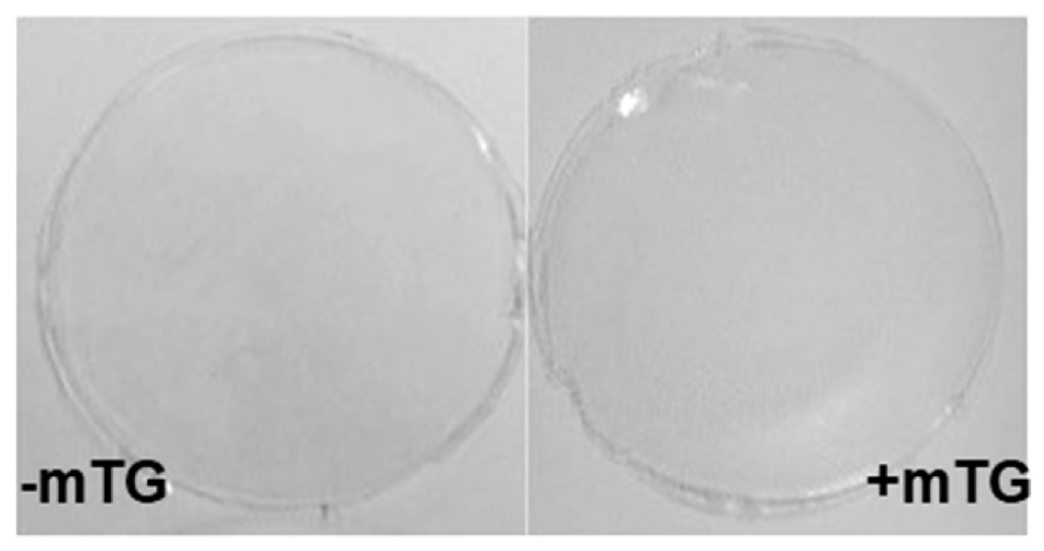 Coatings 15 00066 g003