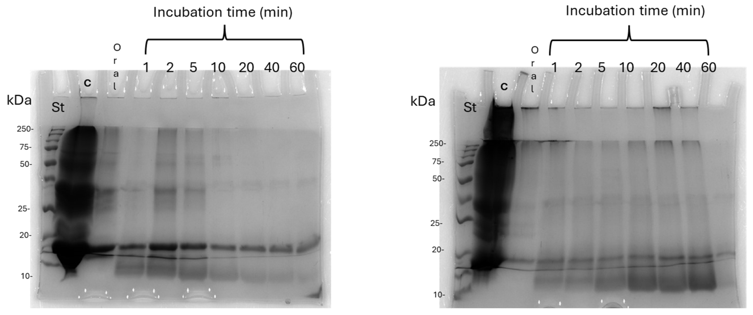 Coatings 15 00066 g006