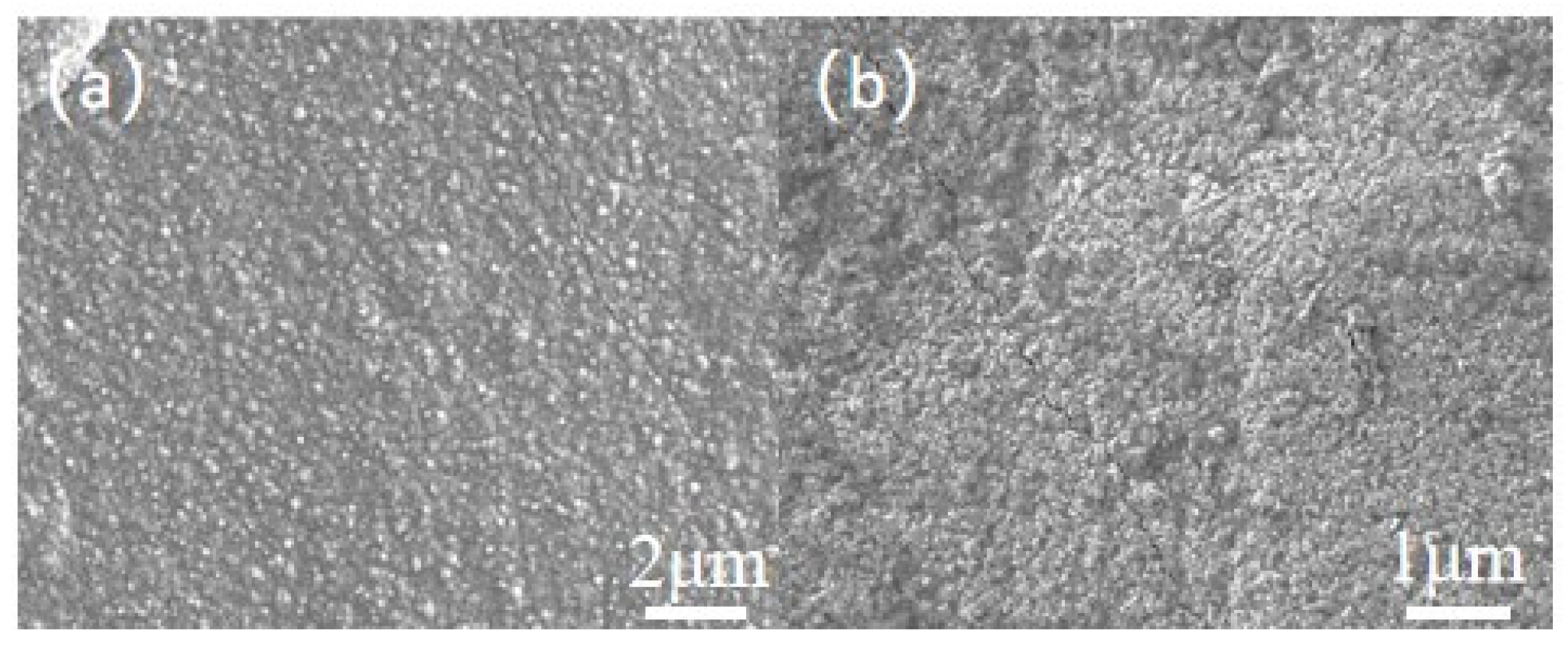 Coatings 15 00071 g002