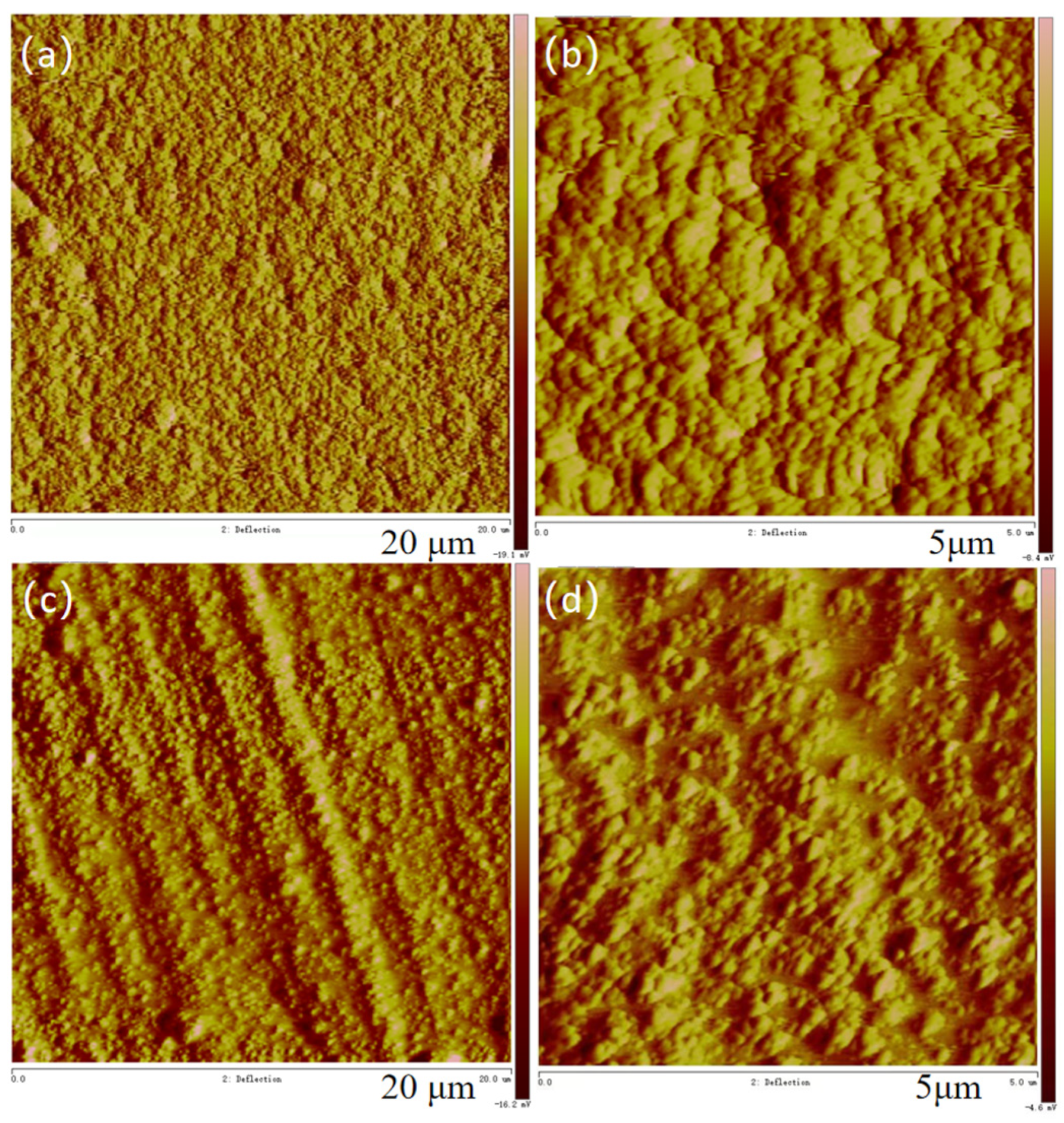 Coatings 15 00071 g005