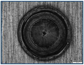 Coatings 15 00072 i005