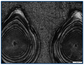 Coatings 15 00072 i006