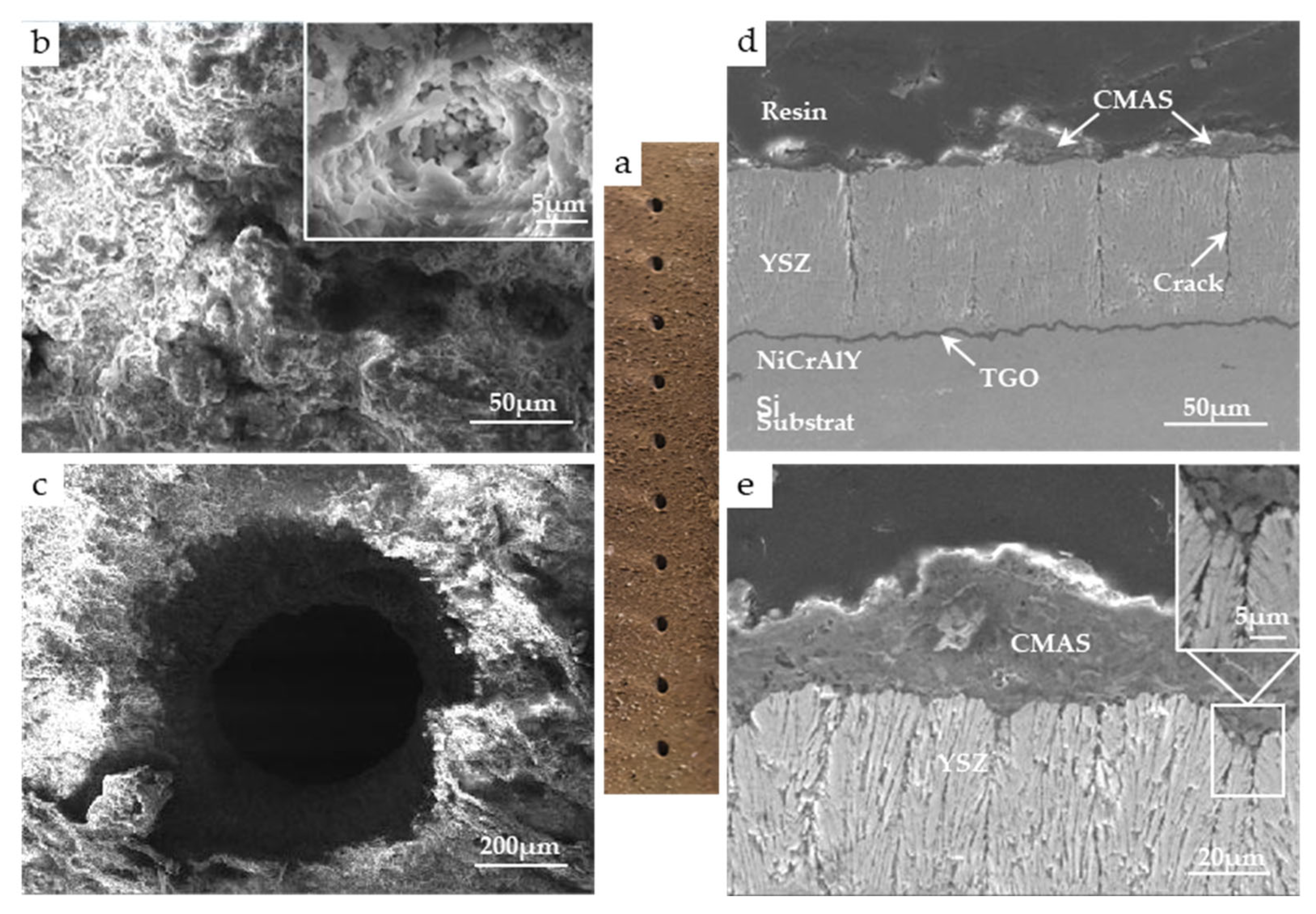 Coatings 15 00078 g003
