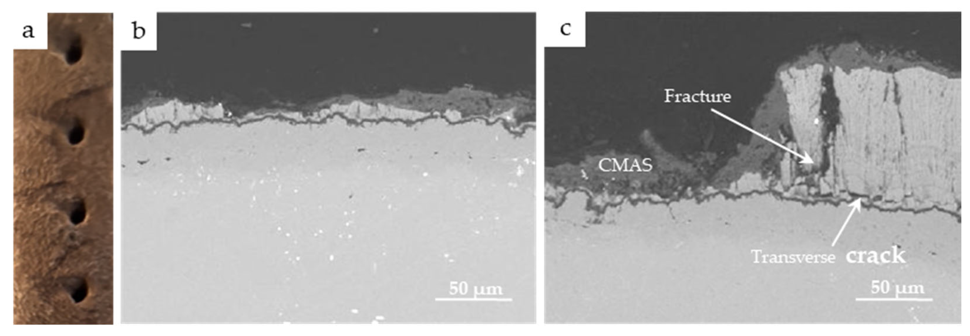 Coatings 15 00078 g004
