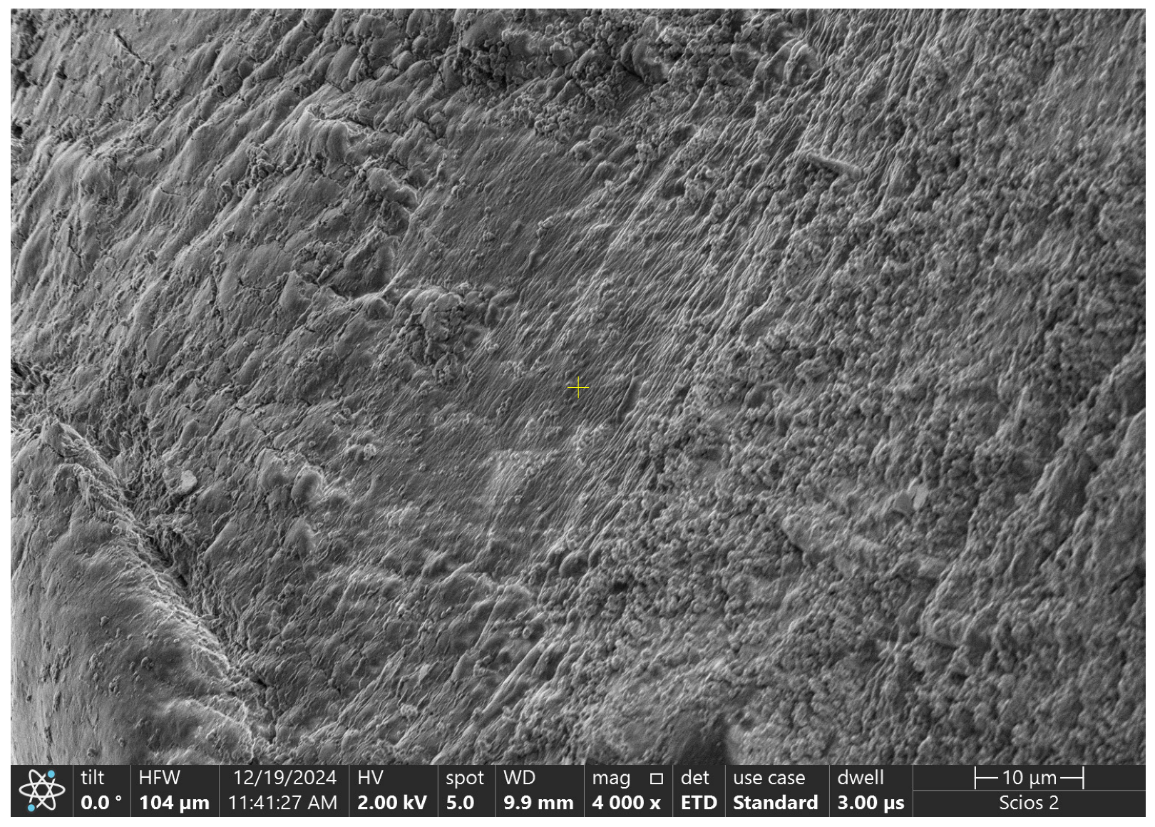 Coatings 15 00084 i003