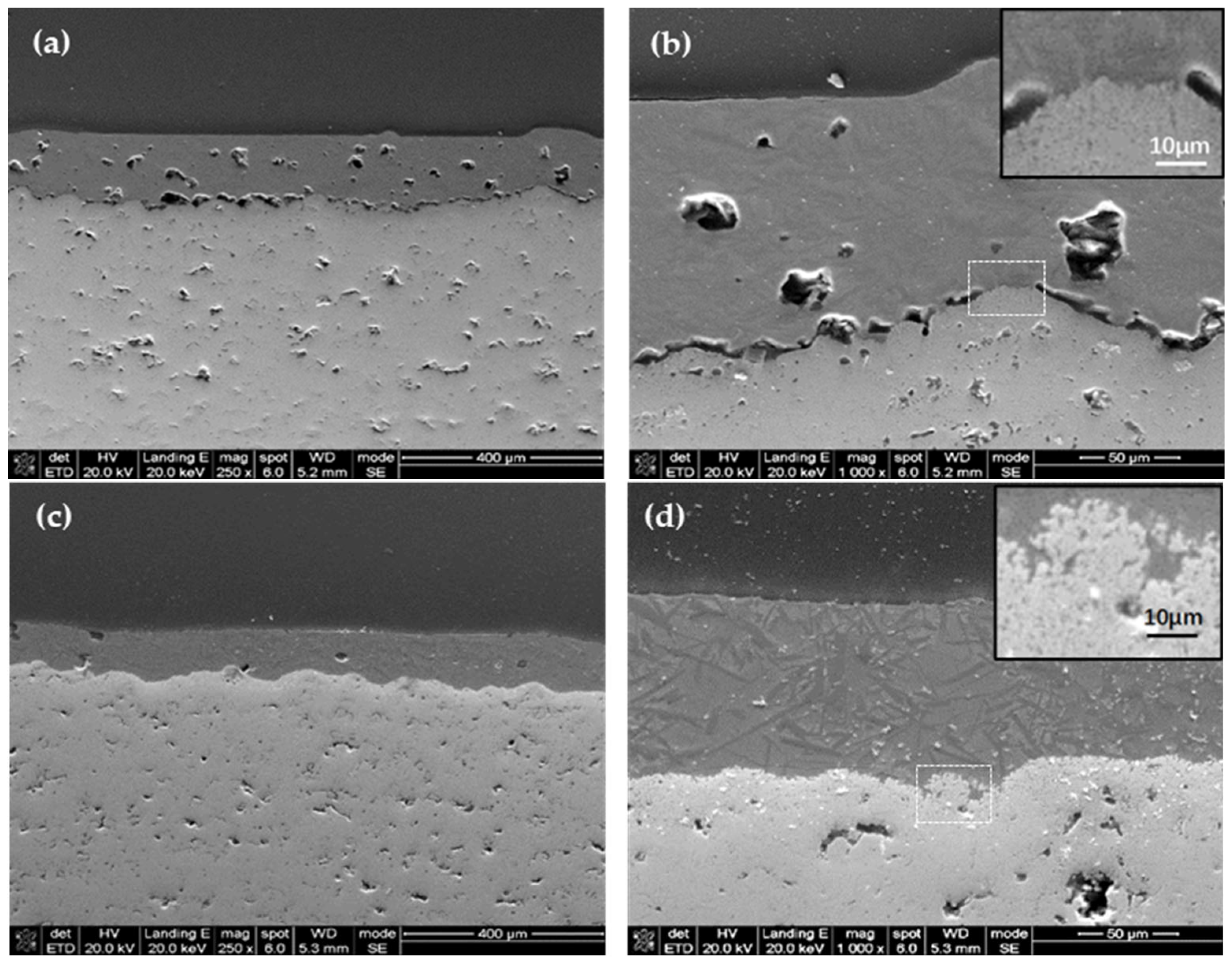 Coatings 15 00114 g001