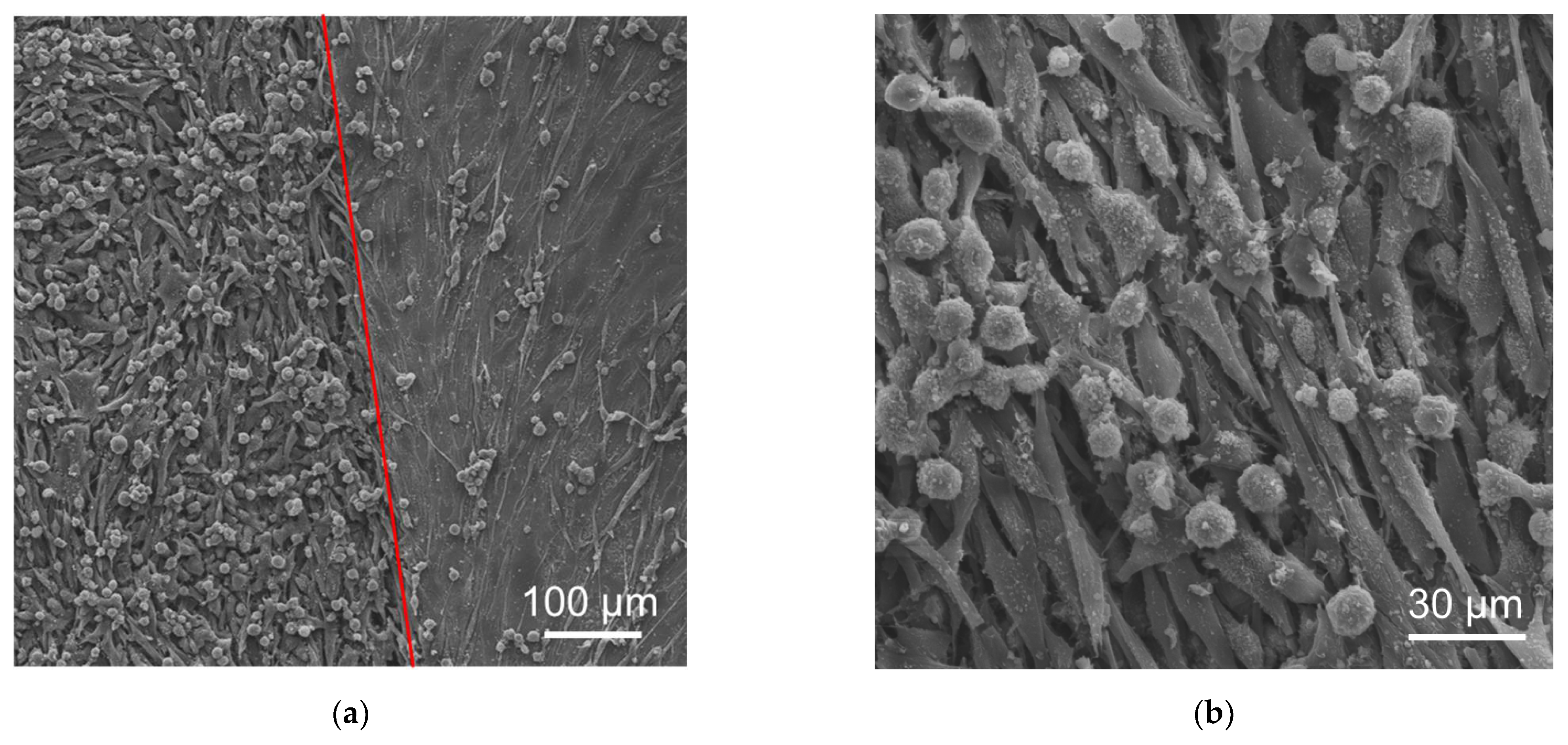 Coatings 15 00127 g003