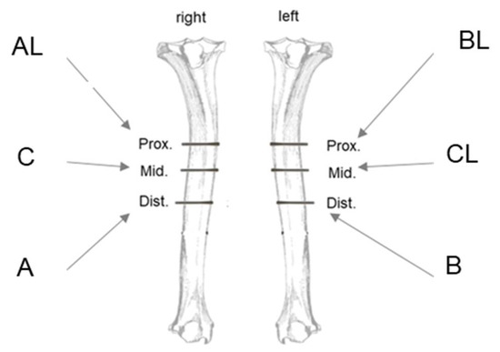 Coatings 15 00127 g0a1