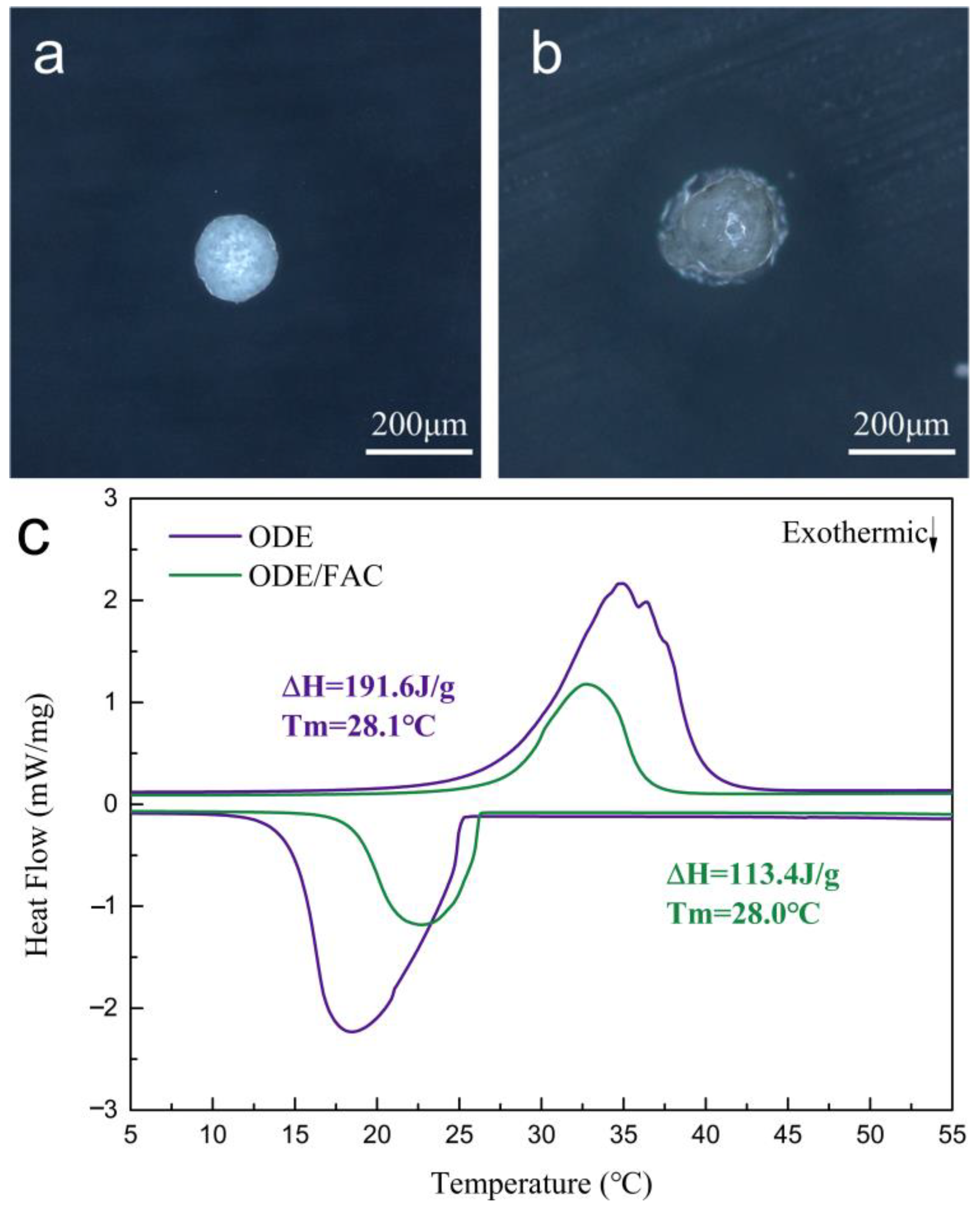 Coatings 15 00135 g006