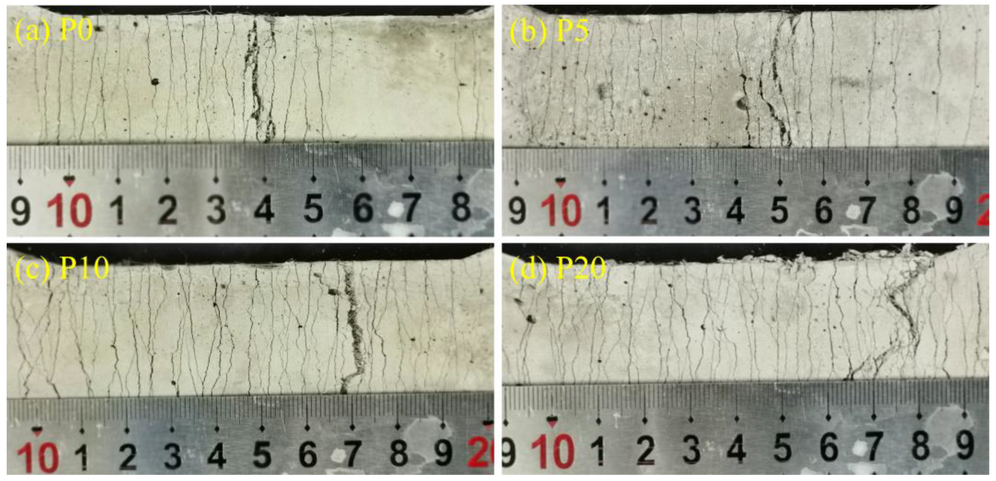 Coatings 15 00135 g010