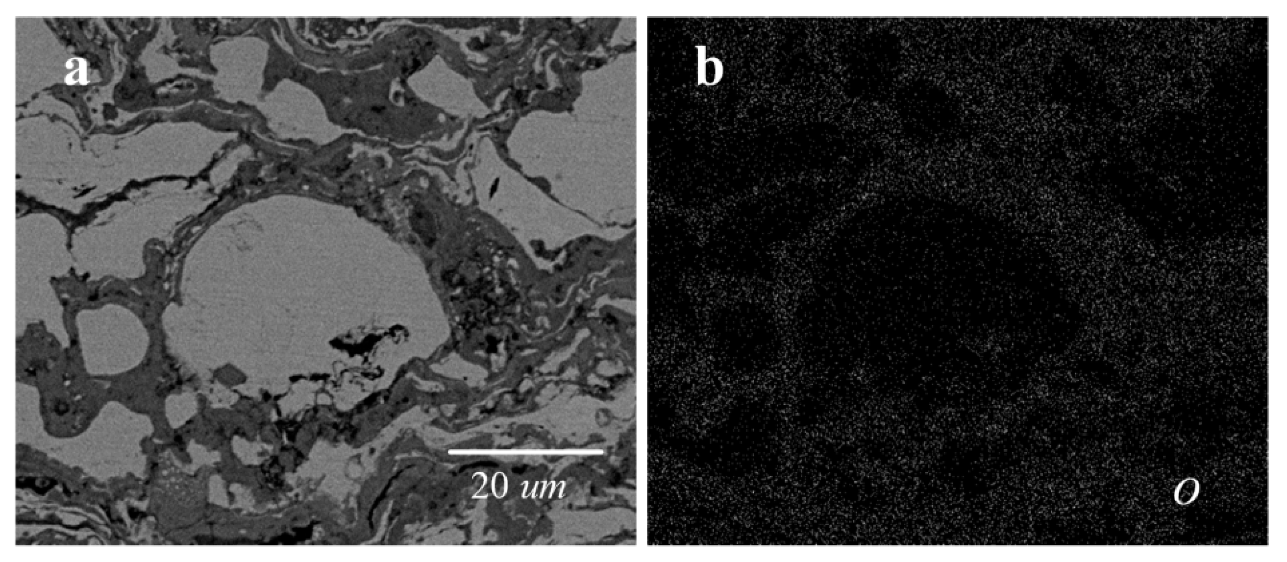 Coatings 15 00144 g003