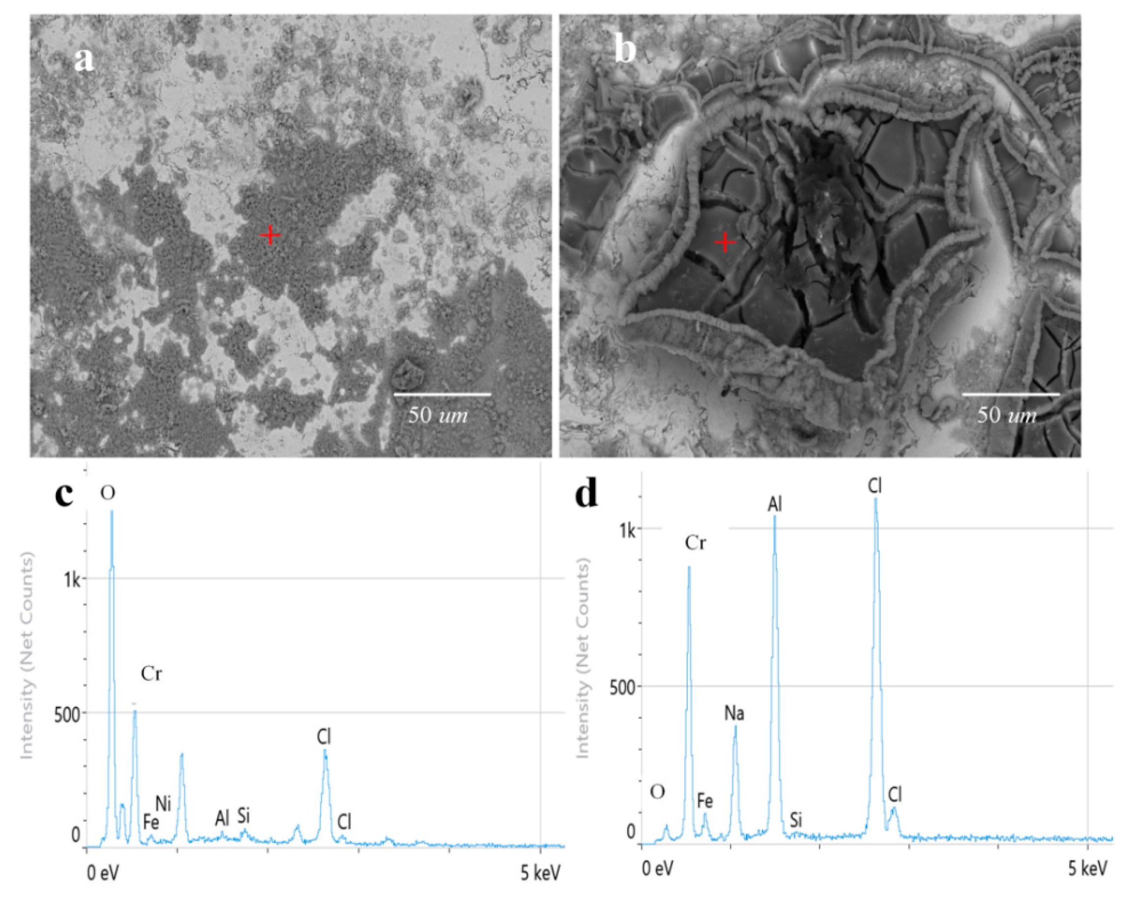 Coatings 15 00144 g007