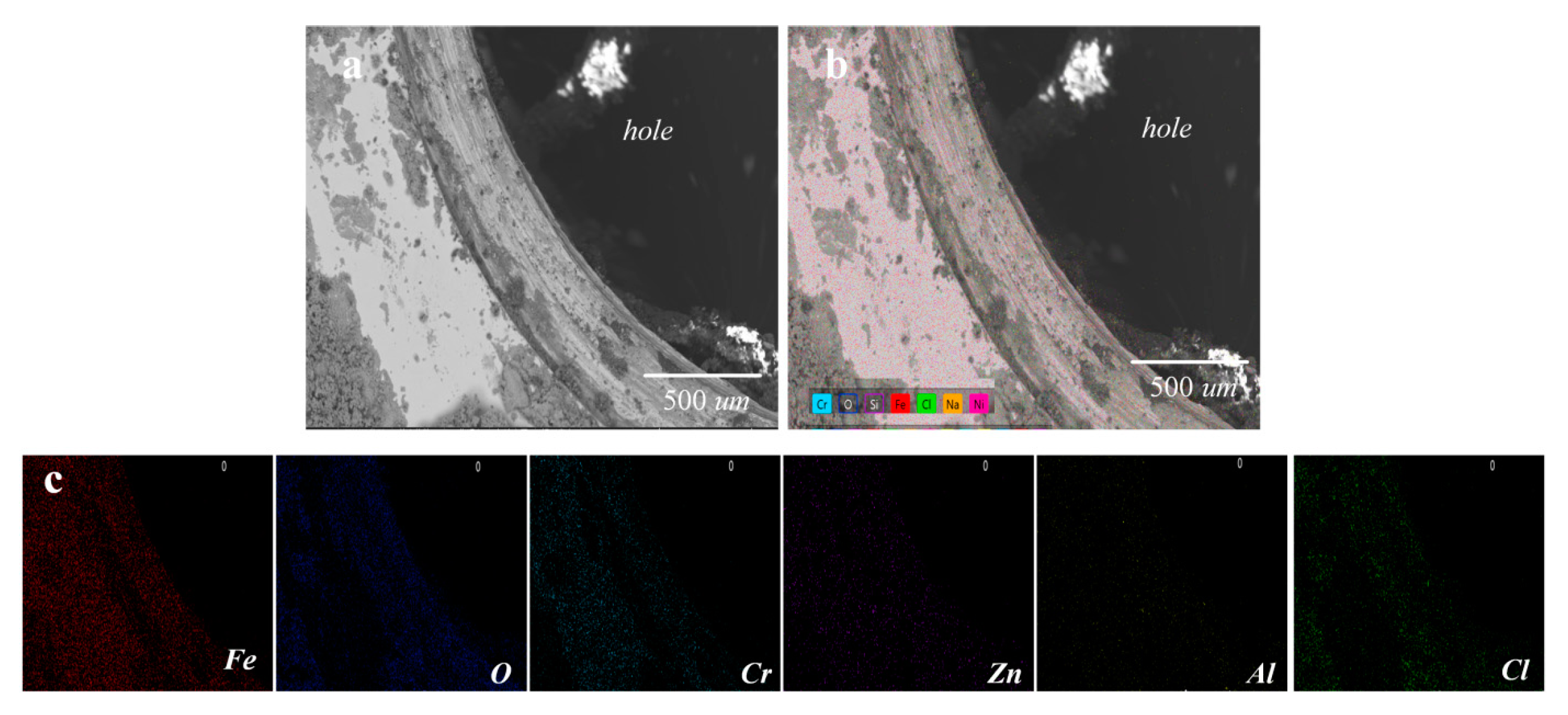 Coatings 15 00144 g012