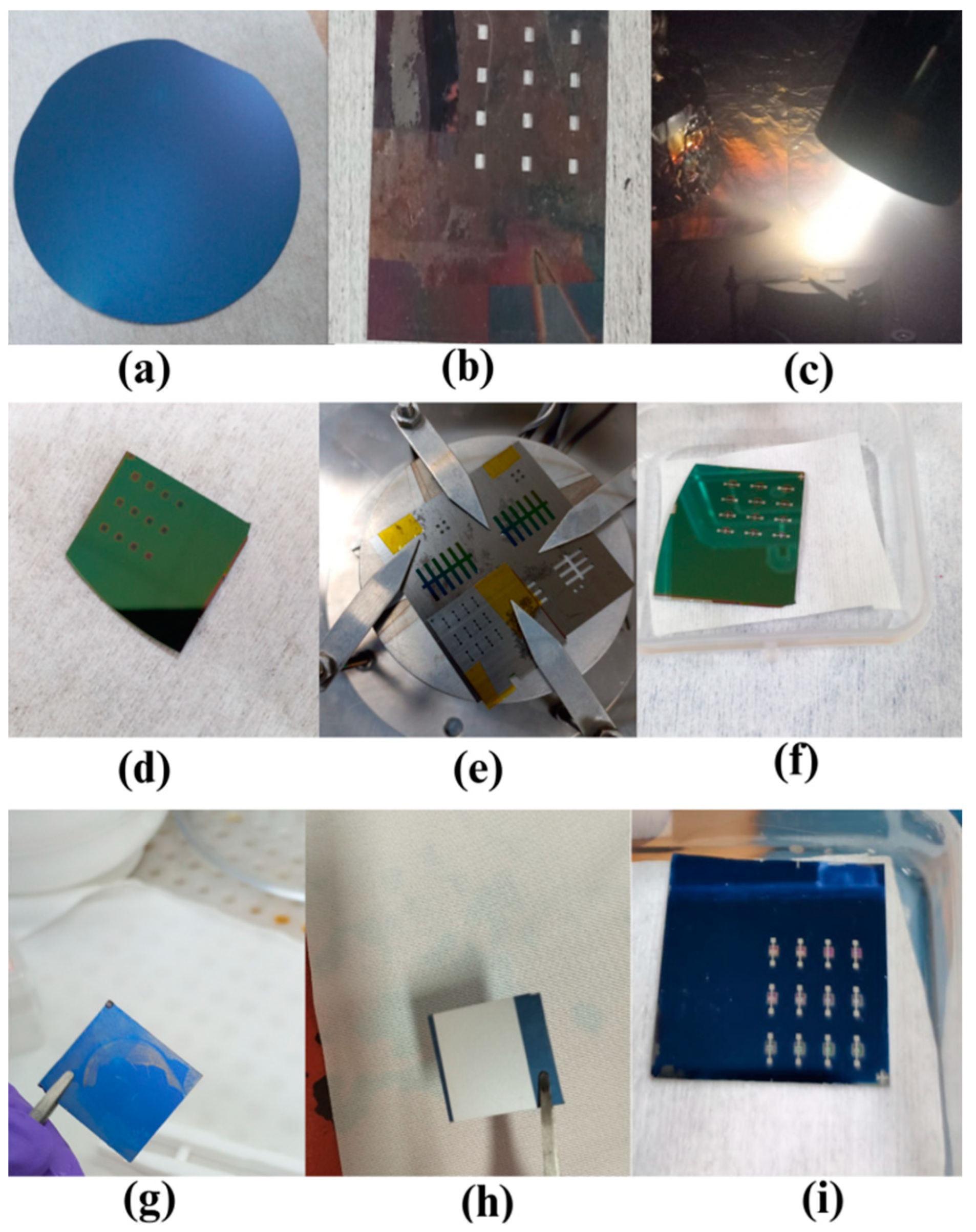Coatings 15 00146 g012