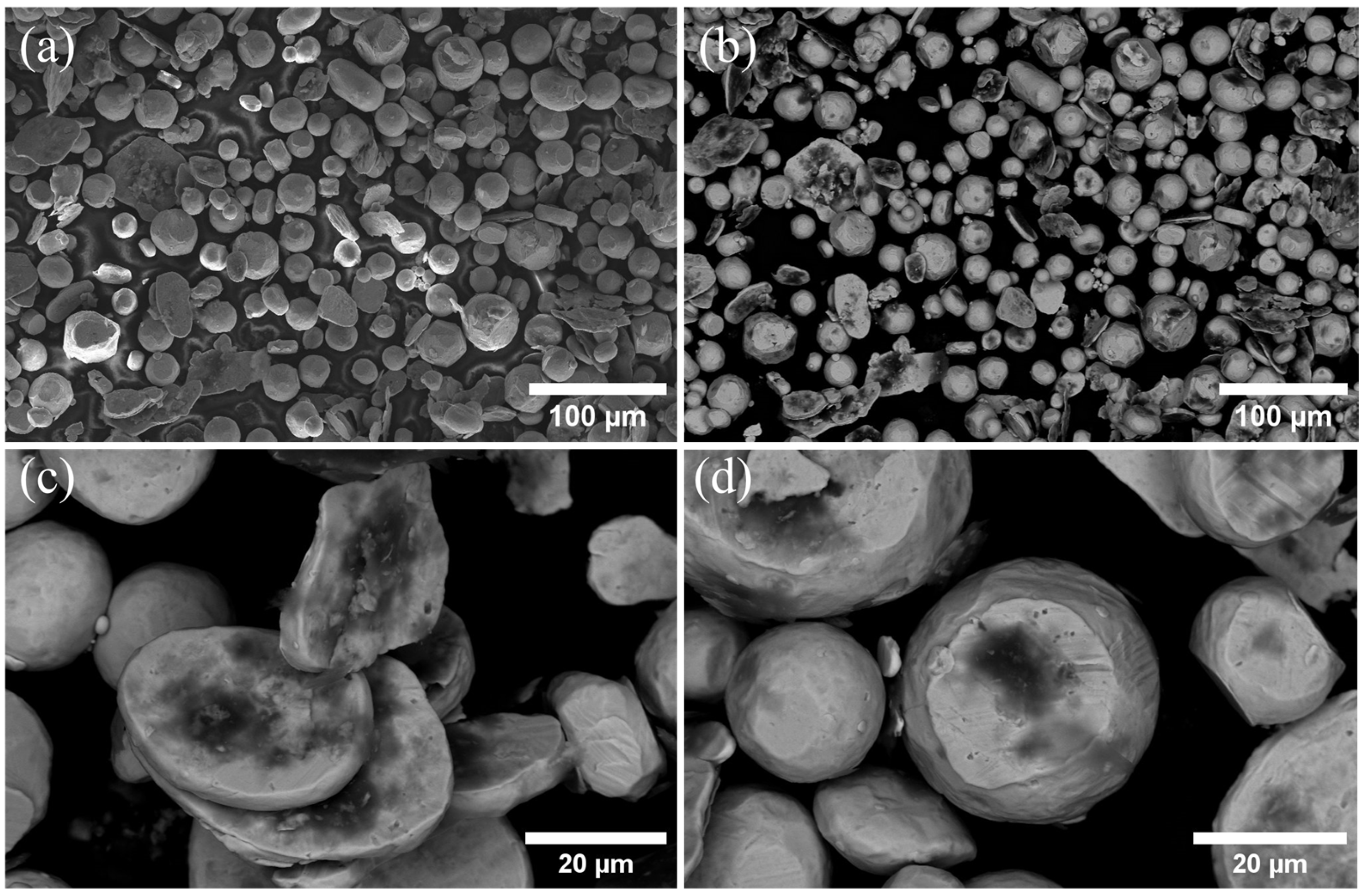 Coatings 15 00153 g001