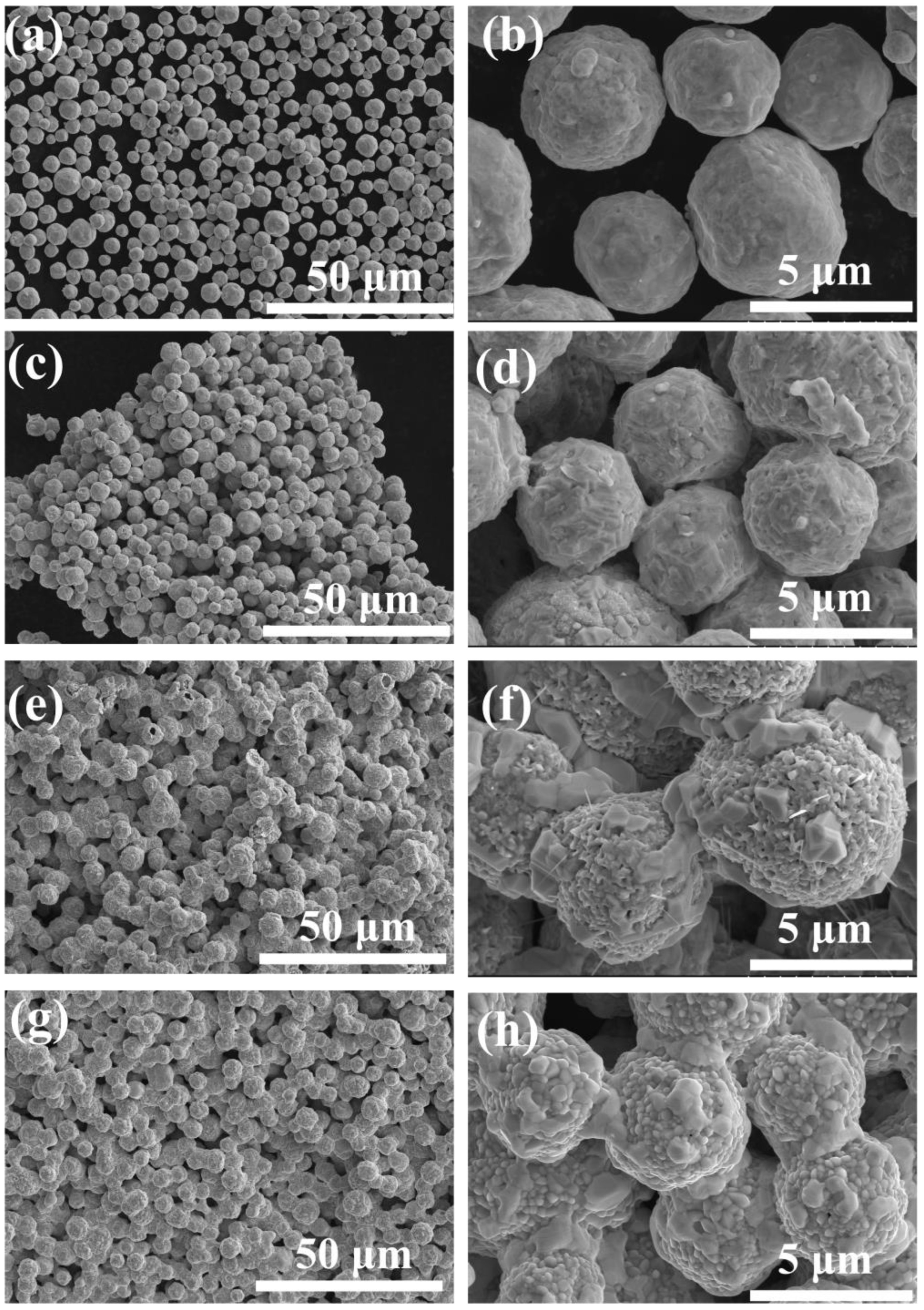 Coatings 15 00154 g008