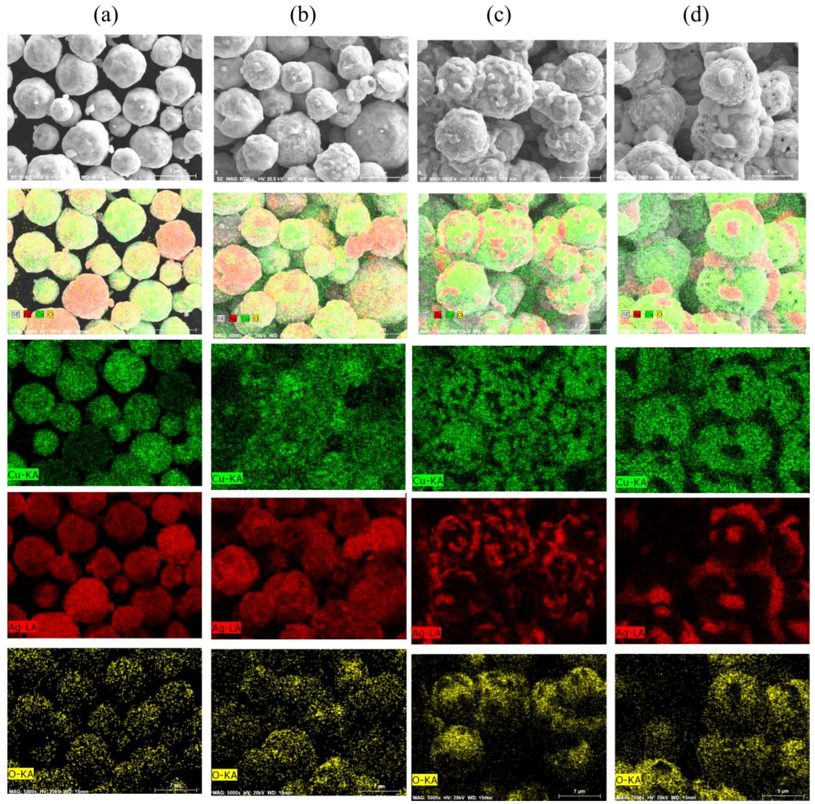 Coatings 15 00154 g009