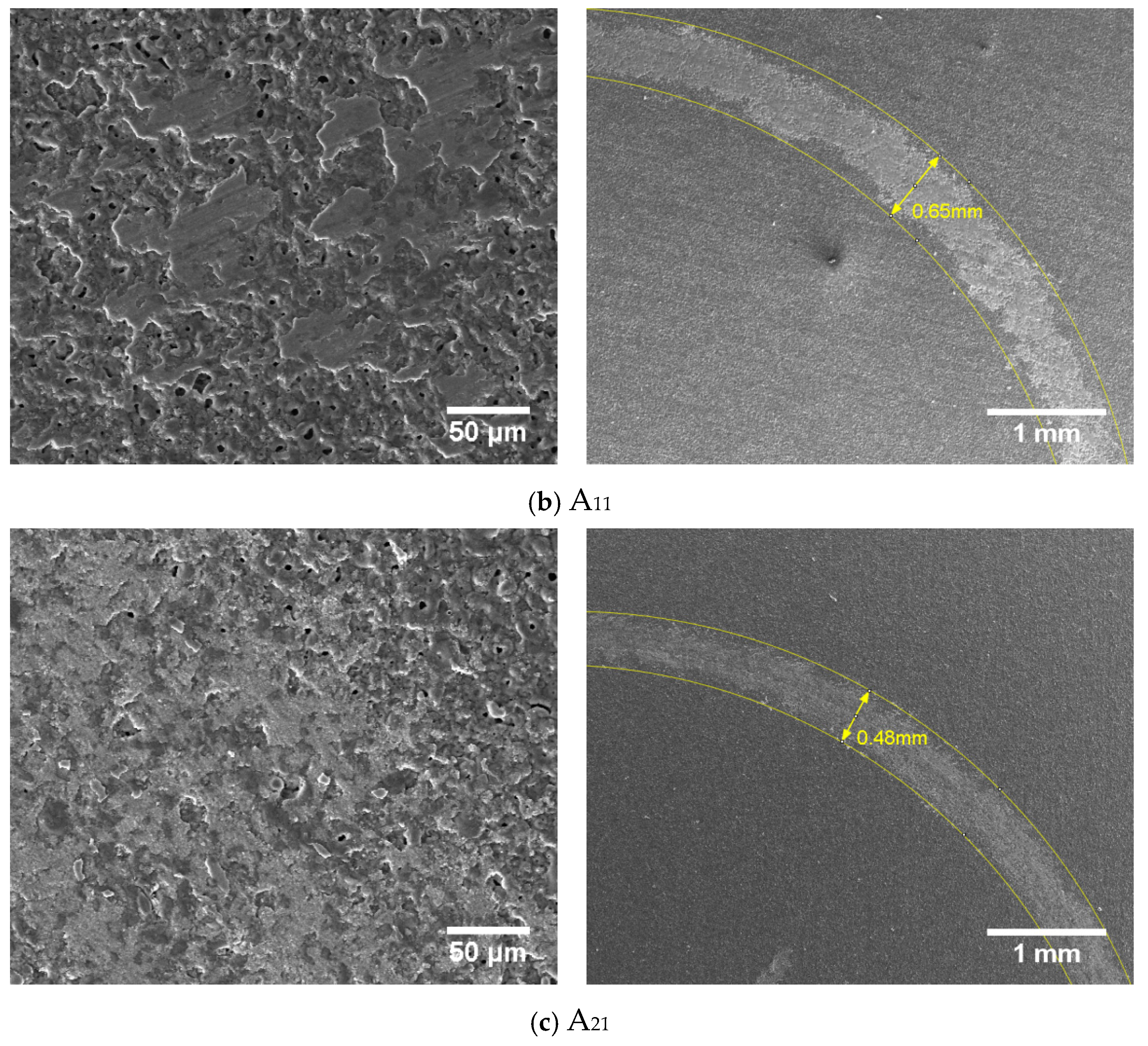 Coatings 15 00157 g013b